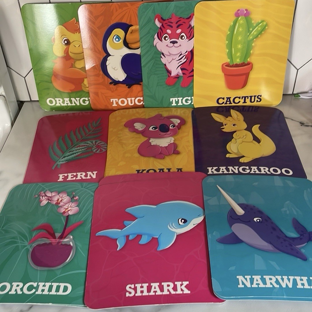 Aldi Giant Matching Card Game