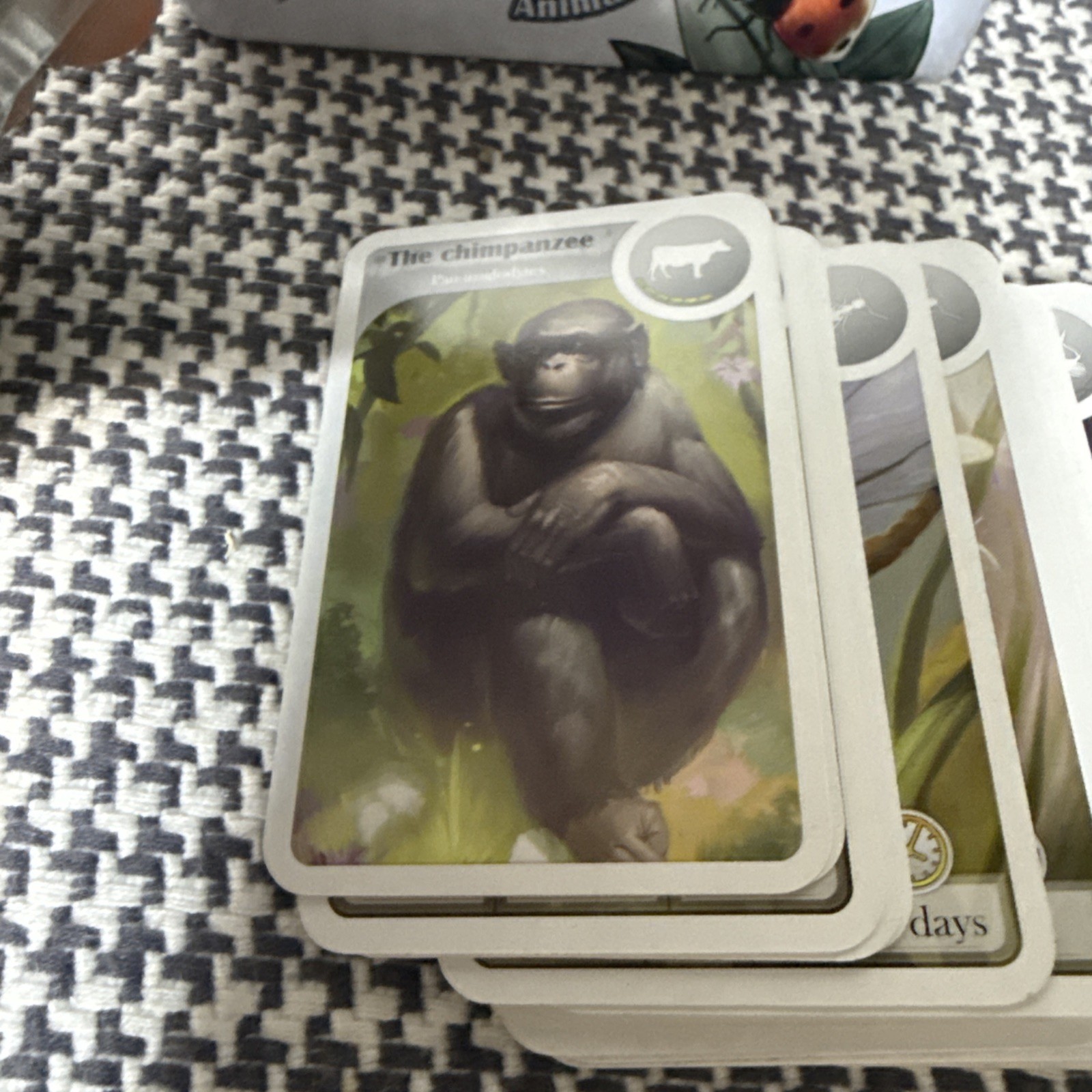 Cardline: Animals by Asmodee 2013 Complete Card Game Bombyx 100% Complete