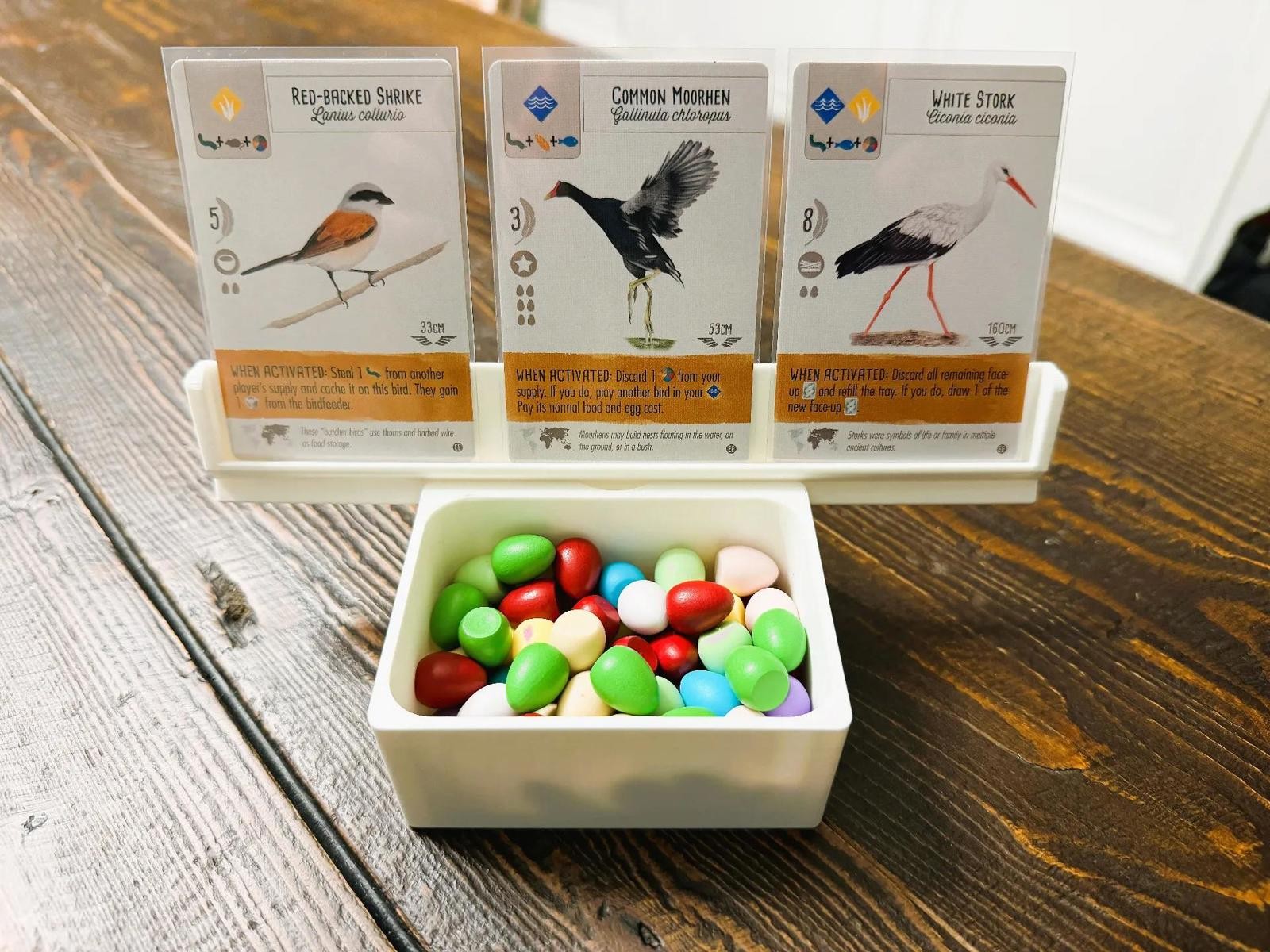 Organizer Only – Wingspan Nesting Box