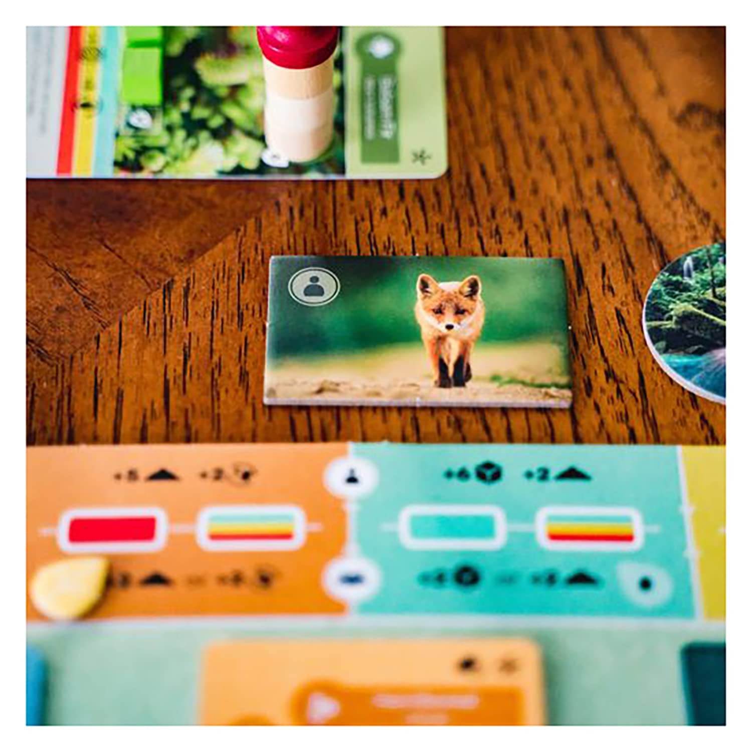 Inside Up Games Game Of The Year Building Card Drafting Action Amazing Natural
