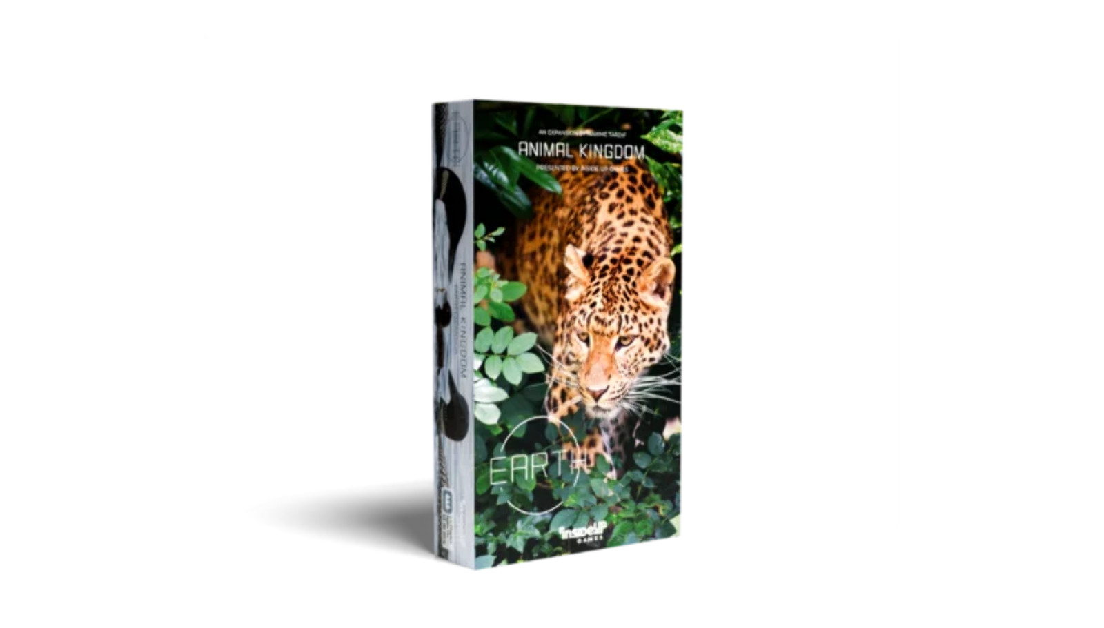 Earth: Animal Kingdom Inside Up Games Board Games