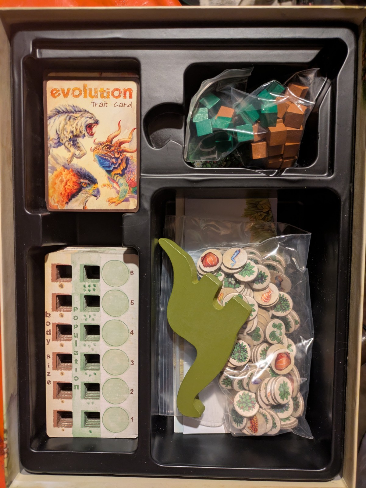 Evolution Board Game – Excellent Condition by North Star Games