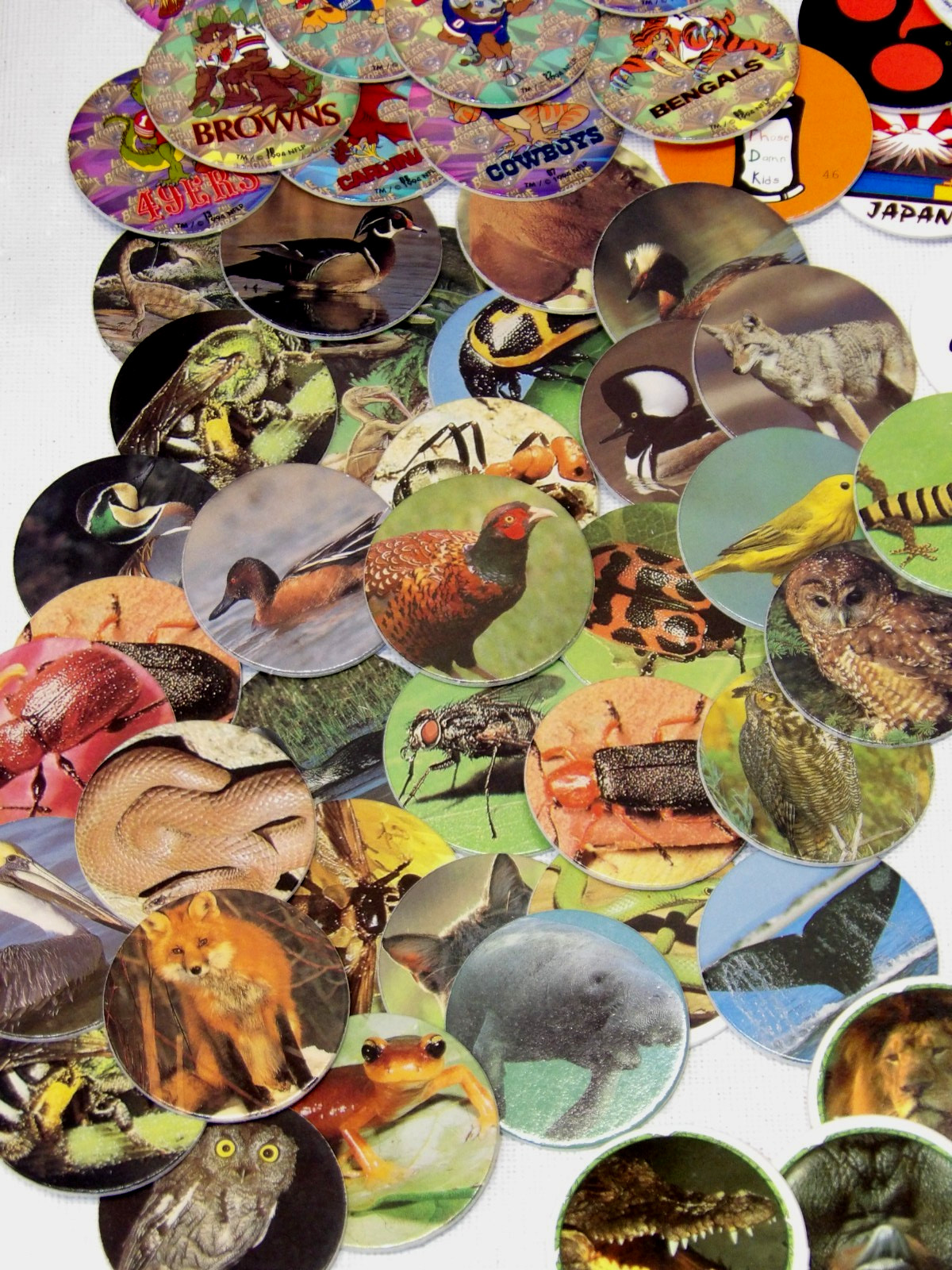 Pogs!• 200+ Pogs!• 5 Slammers!• See Pics & Description• FREE SHIPPING!!•
