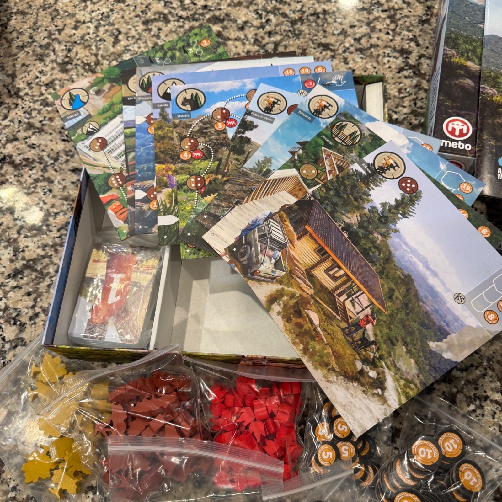 Floresta Board Game Arcane Wonders Mebo Strategy Nature Forest Management New