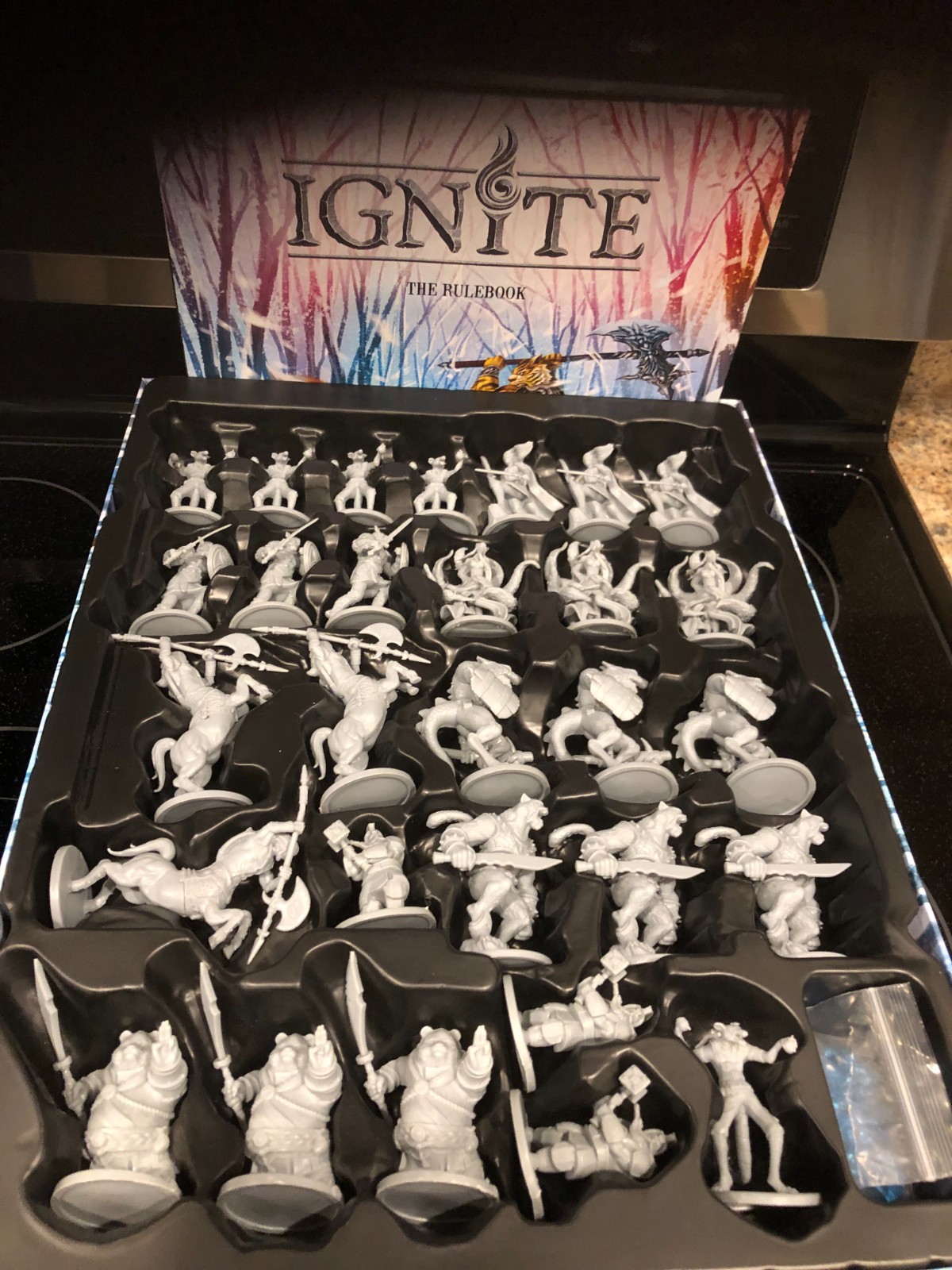 “IGNITE” Board Game Including “The Freeze” & “A New Enemy” Expansions EUC