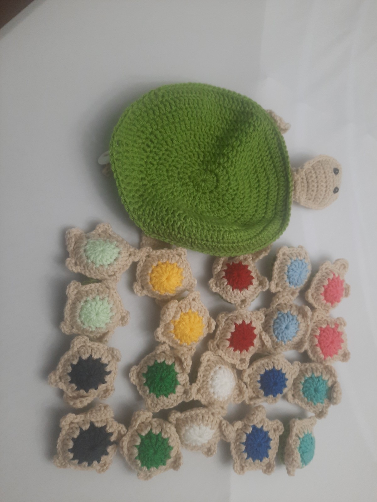 Handmade Turtle Memory Game