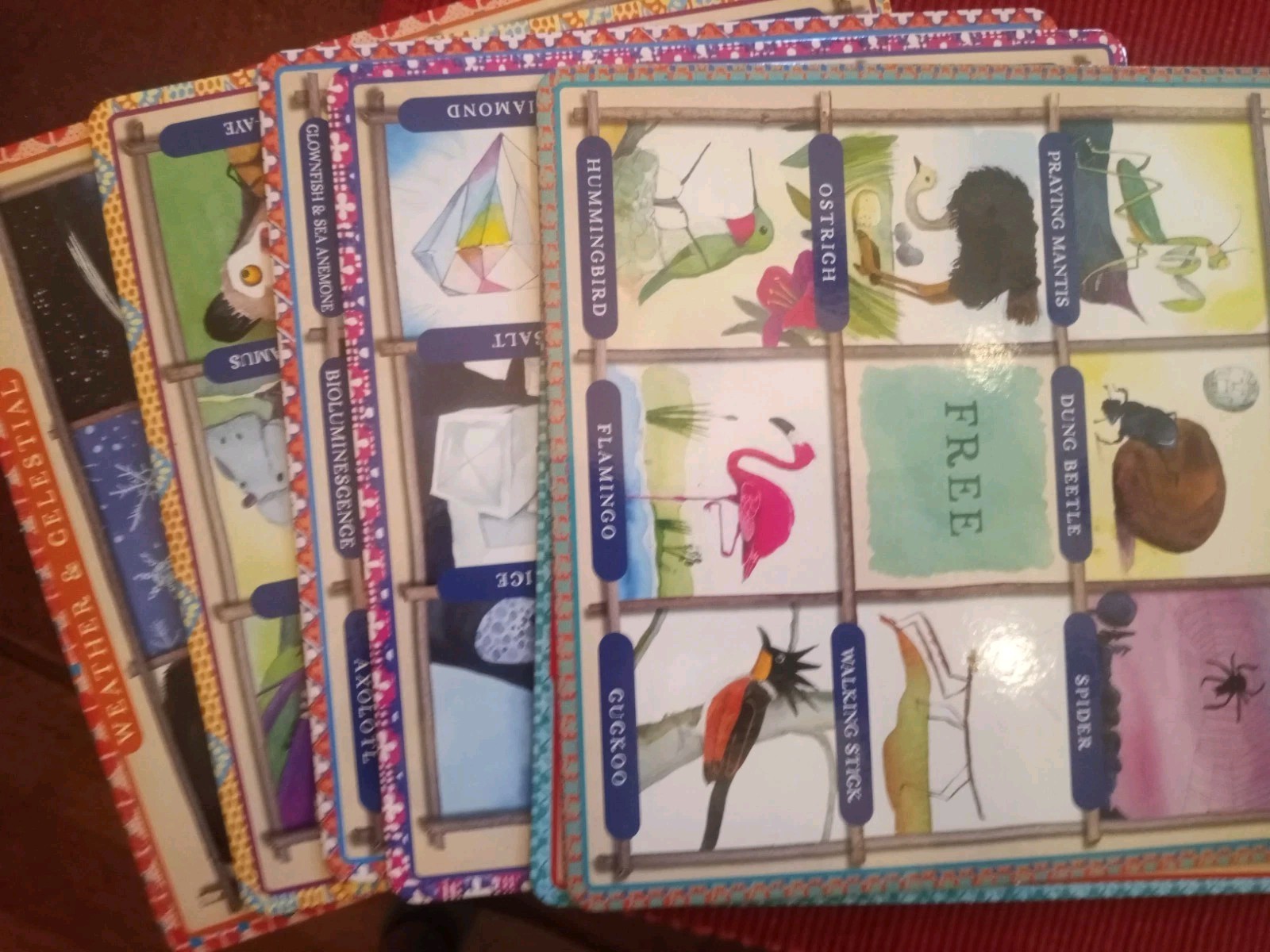 EeBoo NATURAL SCIENCE BINGO for Kids 5+ — Complete Game — *VERY* Gently Used!