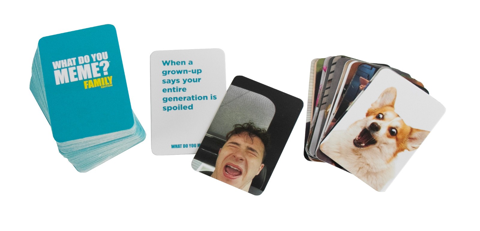 Worlds Smallest FAMILY Edition – WHAT DO YOU MEME? Card Game Pocket Size