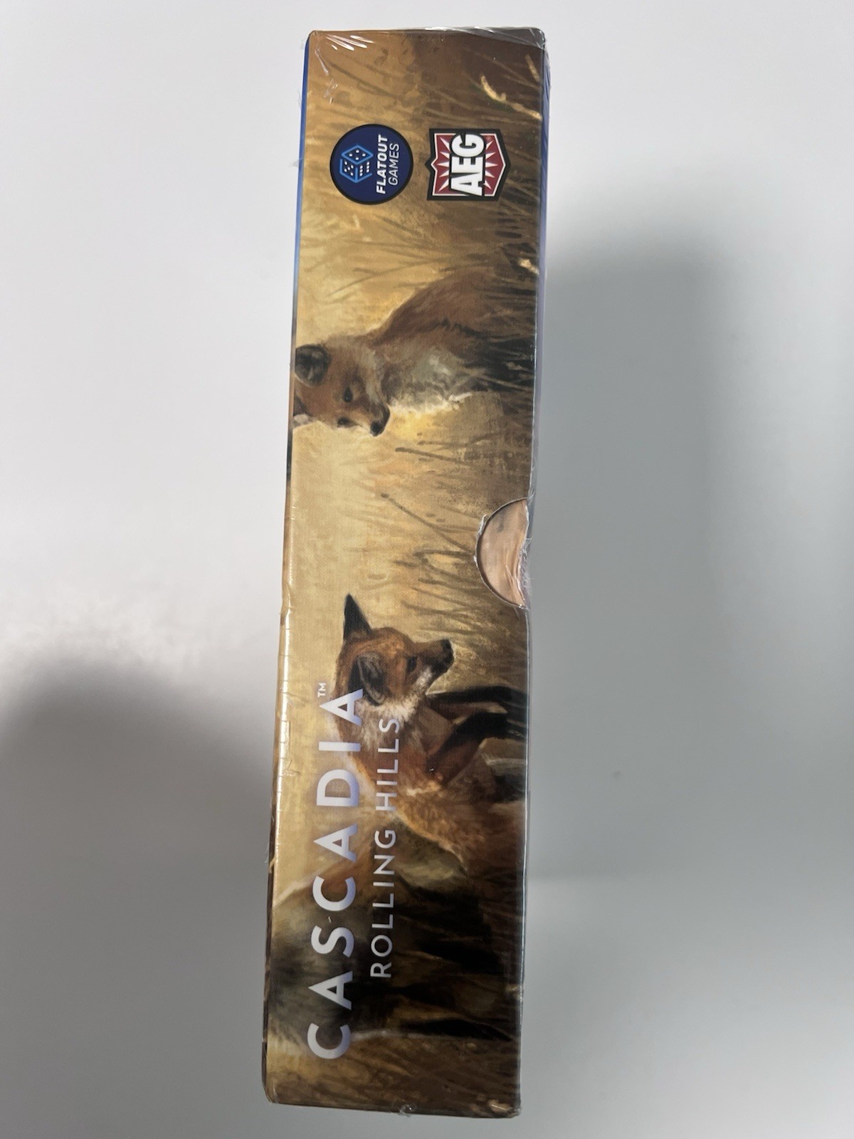 Cascadia: Rolling Hills (stand alone) Board Game – Roll & Write, Nature game
