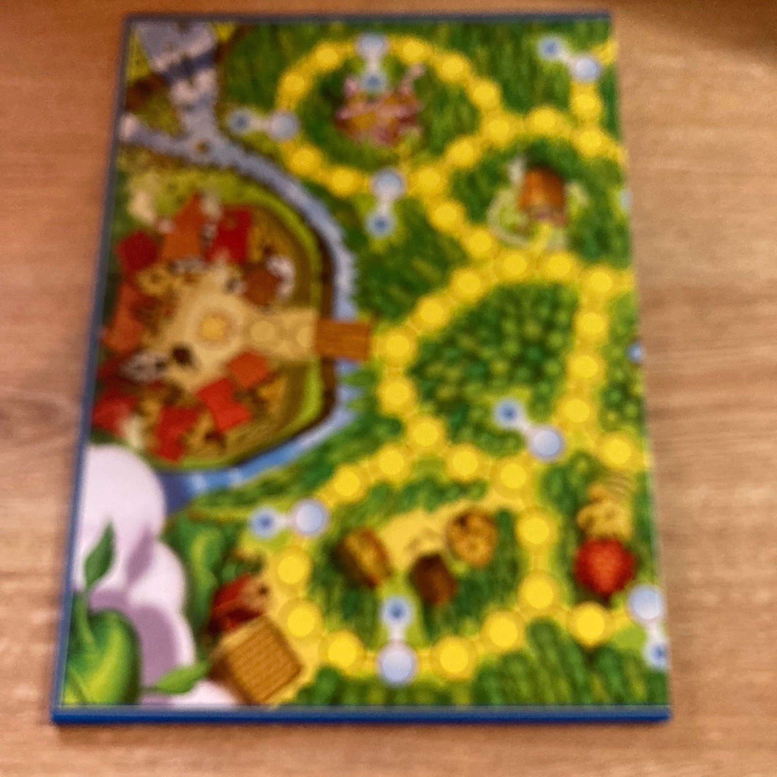 Enchanted Forest Magical Treasure Hunt Board Game: Ravensburger, Complete
