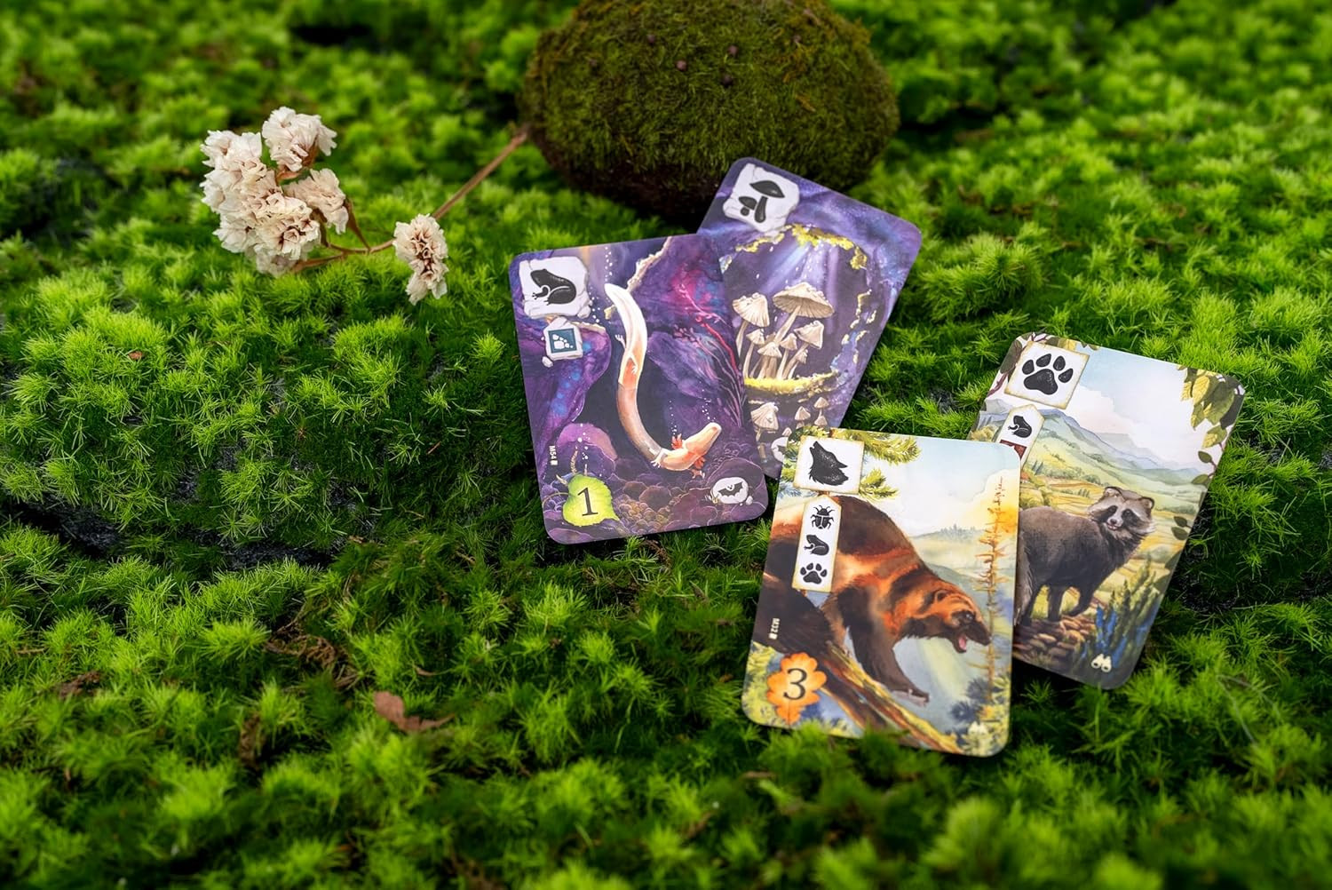 Meadow Adventure Book – Innovative Board Game Expansion with Watercolor Illustra