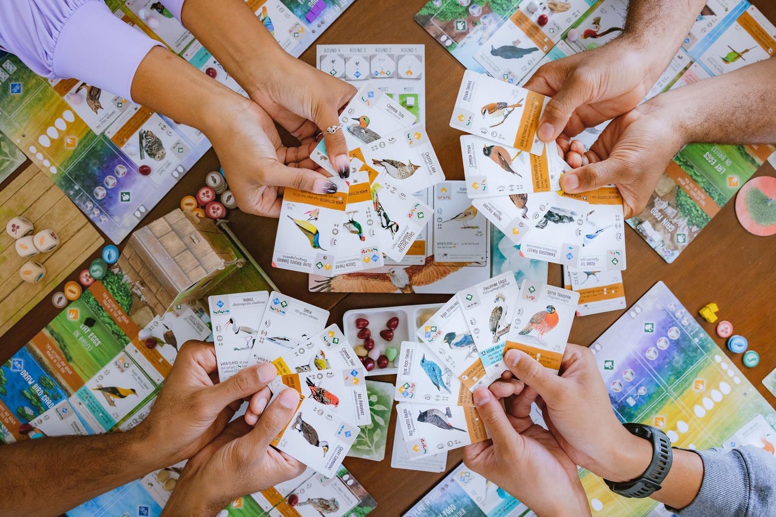 Wingspan Asia Board Game Bird Collecting Solo and Duet Mode Expansion 80 Char…