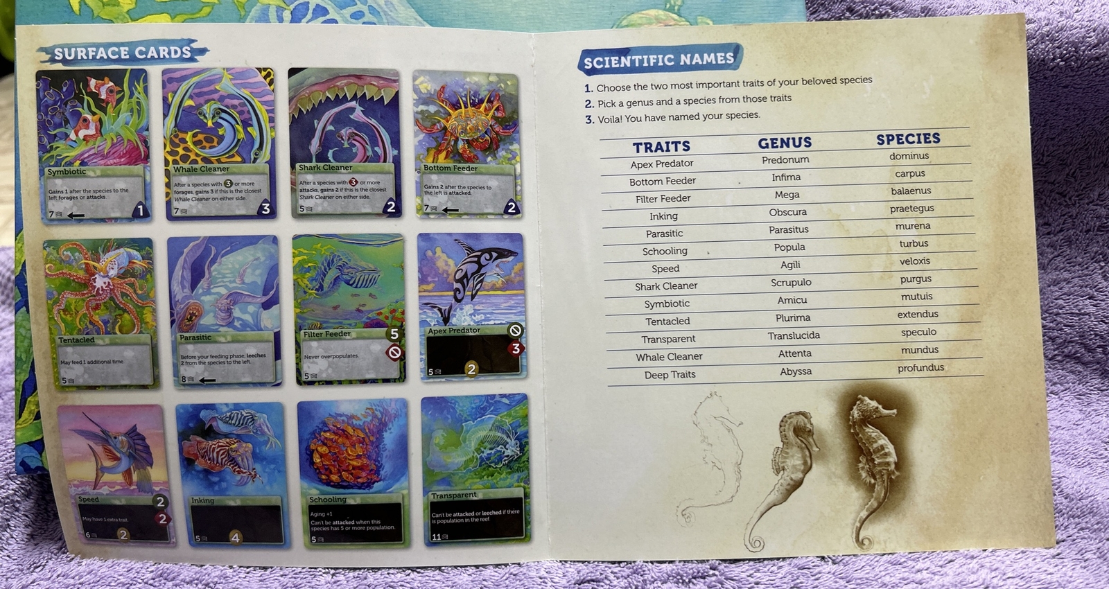 OCEANS, North Star Games 2019 Board Game (Limited Ed) Complete Excellent Shape!