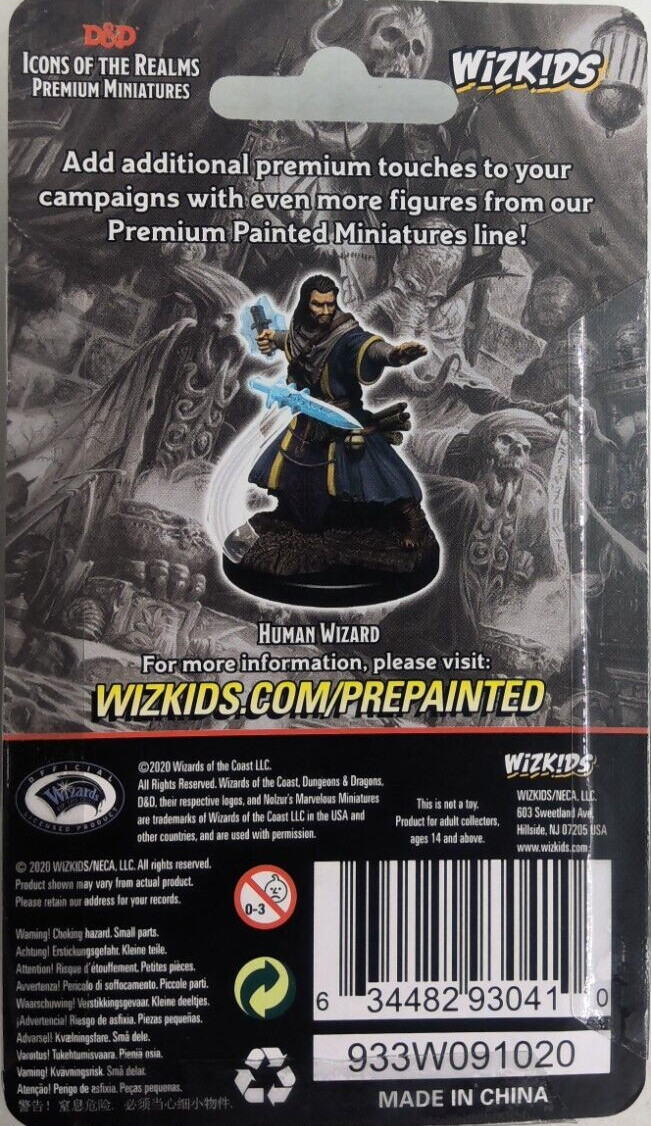 DUNGEONS & DRAGONS ICONS PREMIUM MINIATURES ~ HUMAN MALE WIZARD