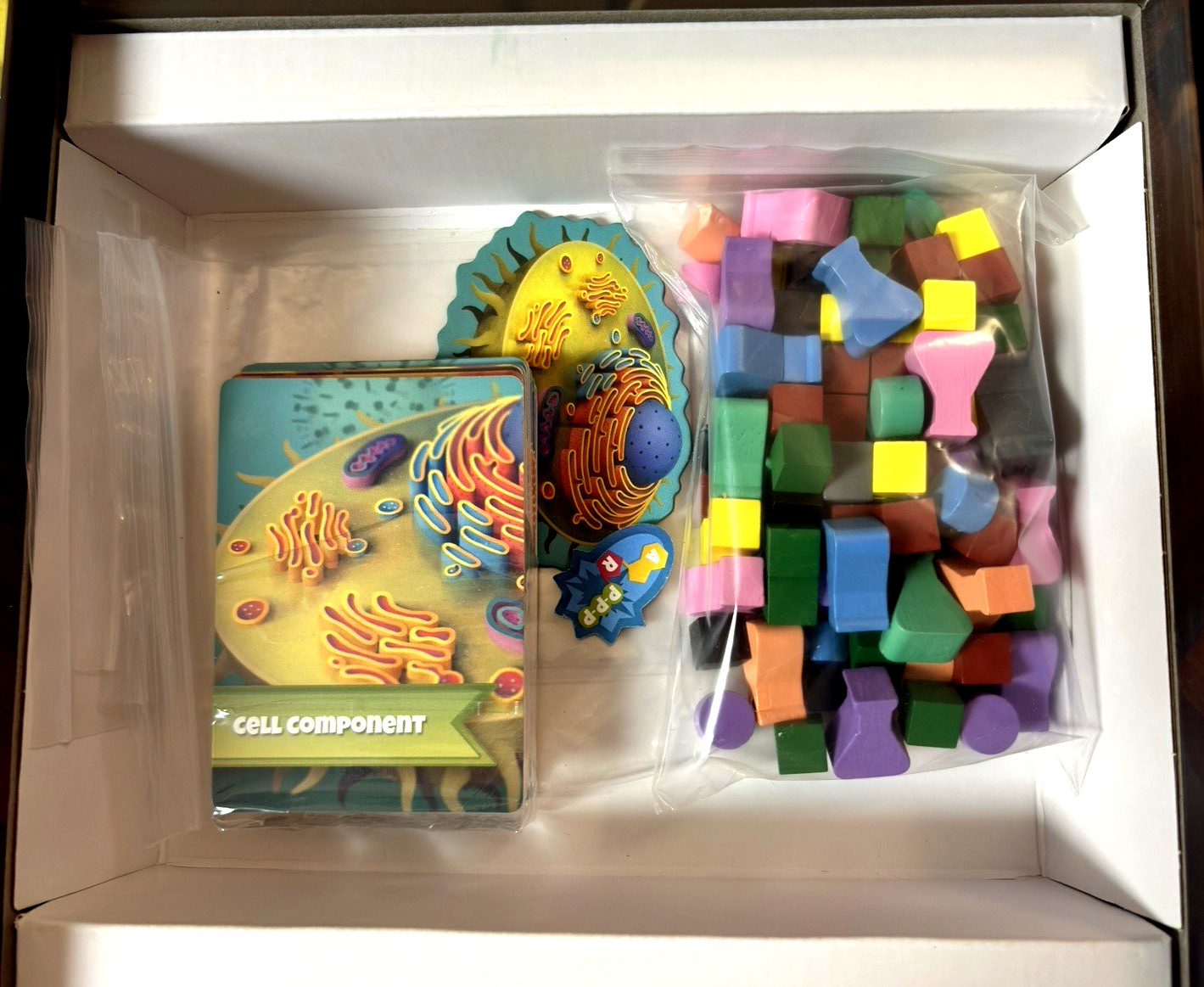 Genius Games Cytosis 2nd Edition Board Game Cell Biology Science Family