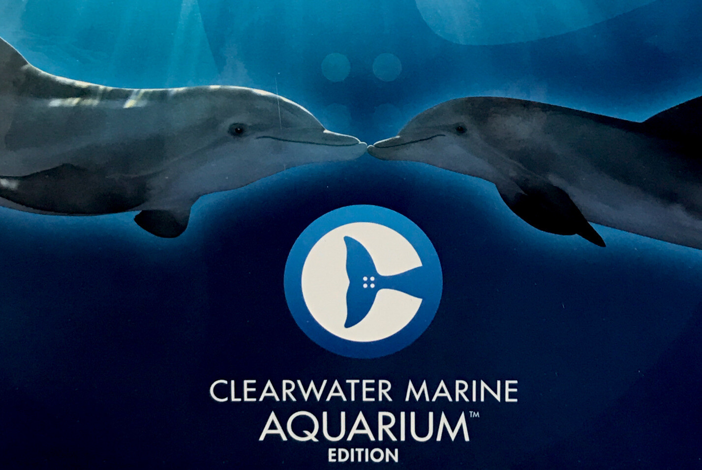 NEW Monopoly Clearwater Marine Aquarium Edition Game Dolphin Tale Sealed NIB ***