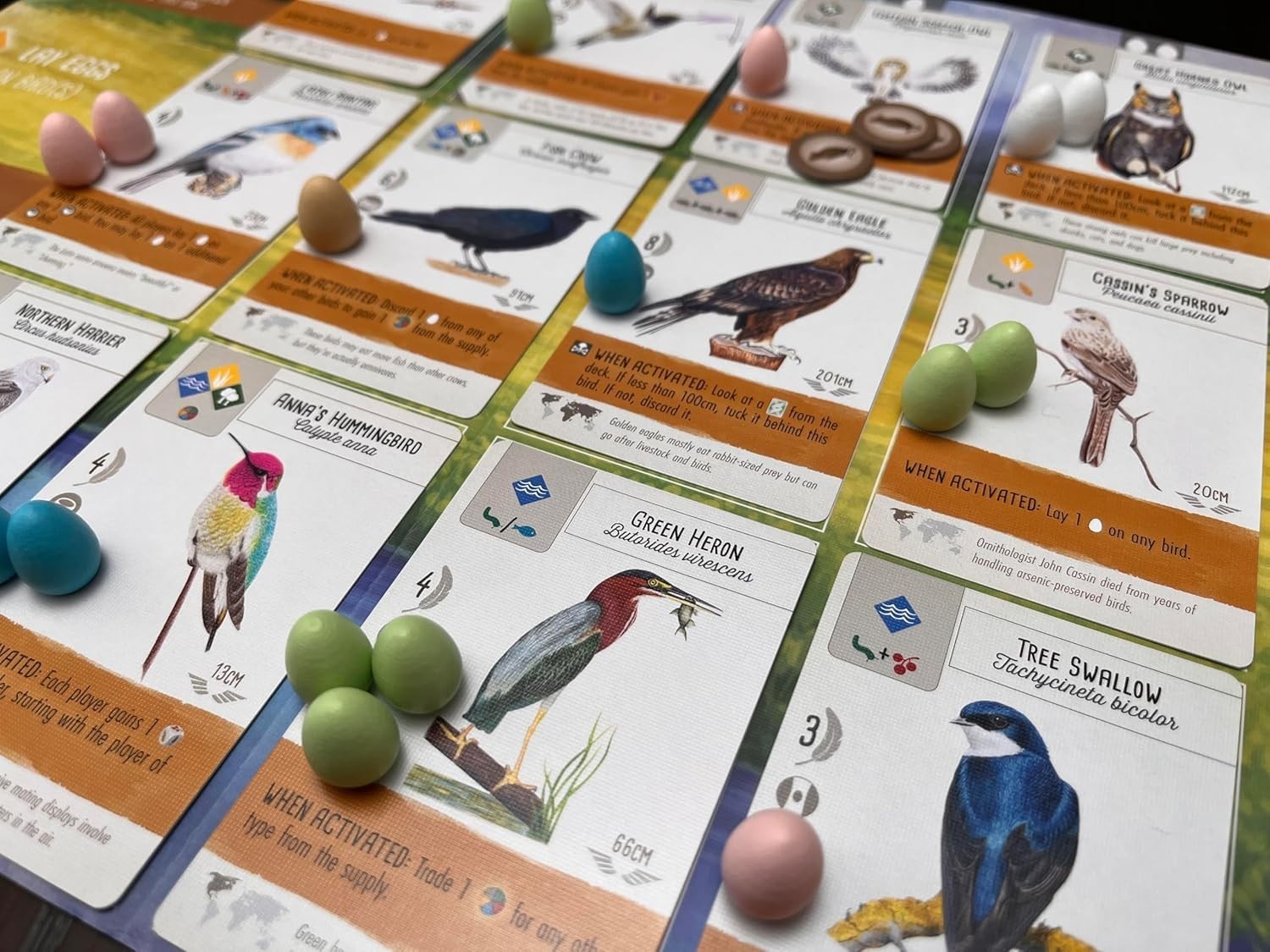 Wingspan Base Game by Elizabeth Hargrave | A Relaxing, Strategy Board Game A…