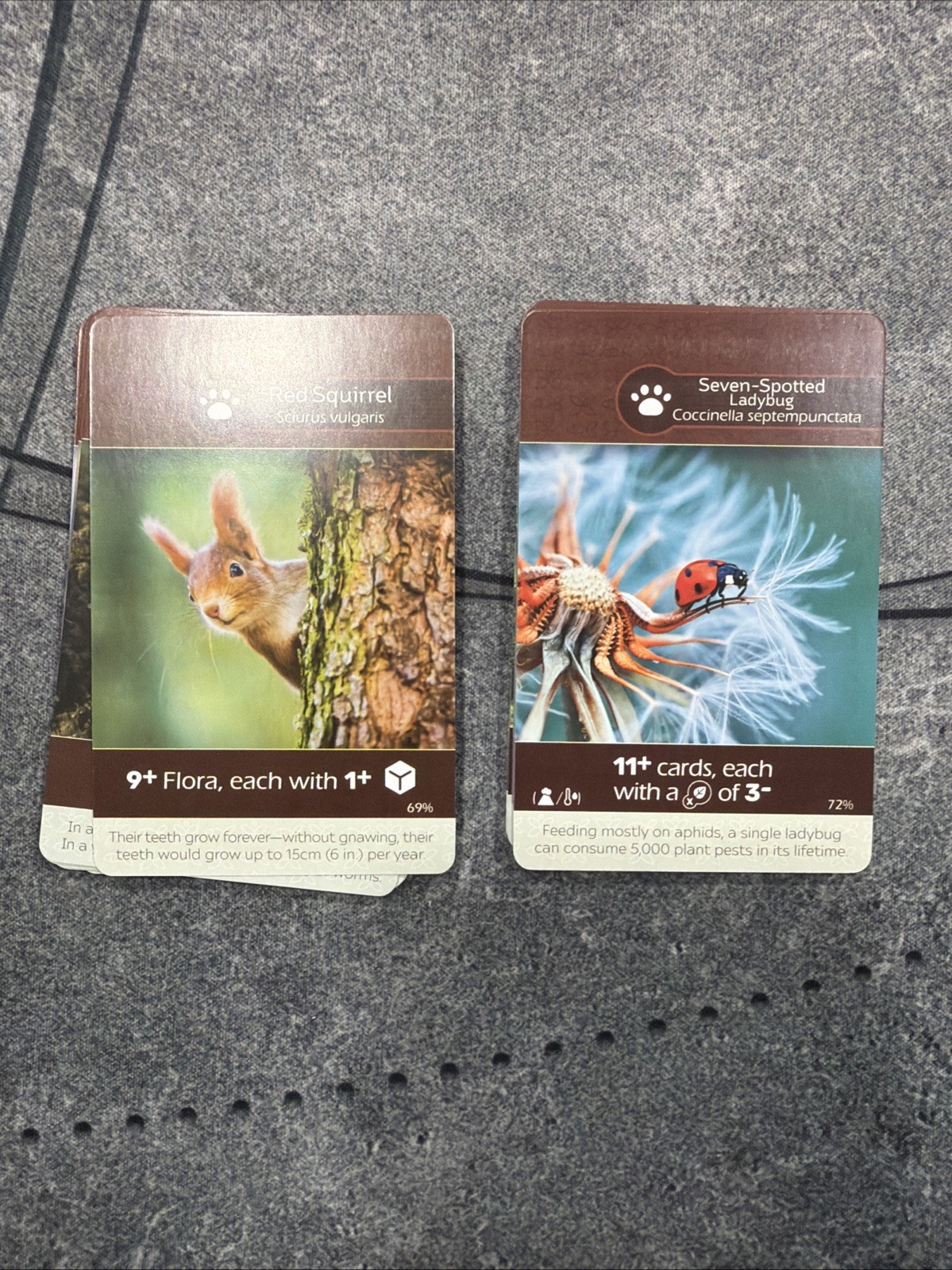 Fauna Cards Earth Board Game Replacement Parts Inside Up Games
