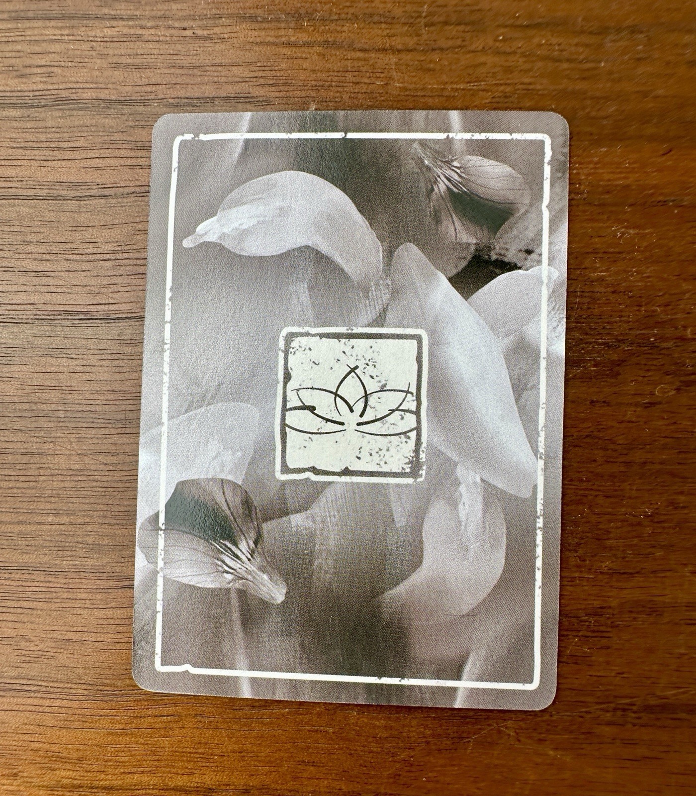 Seven Card Pack Promo for Lotus by Renegade Game Studios (2016)