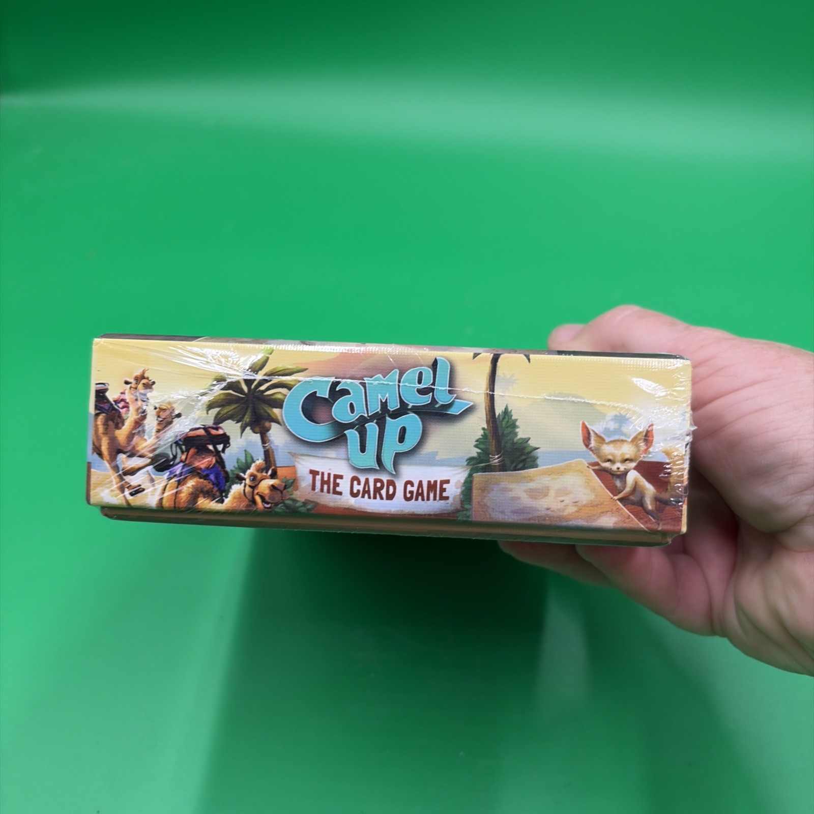Pretzel Games: Camel Up – Card Game New