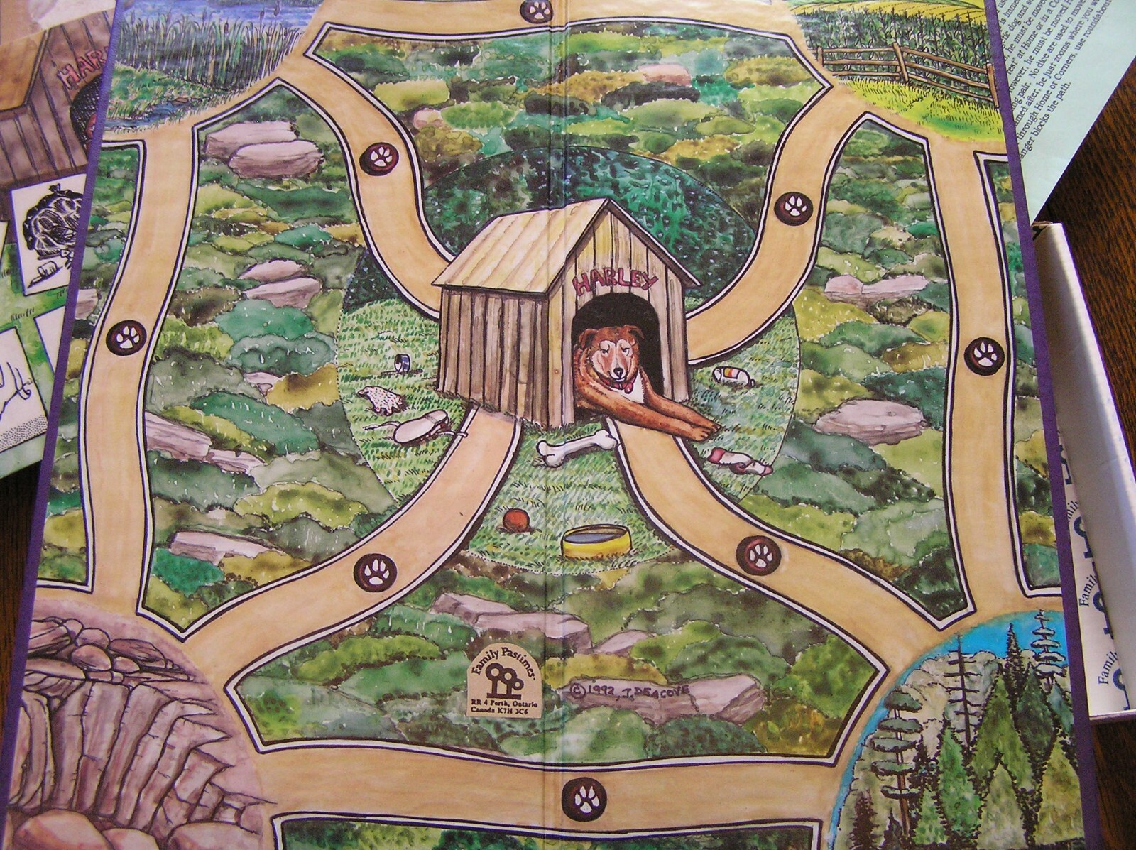Family Pastimes The ADVENTURES of HARLEY: A Co-Operative Game 1-6 Players Age 4+