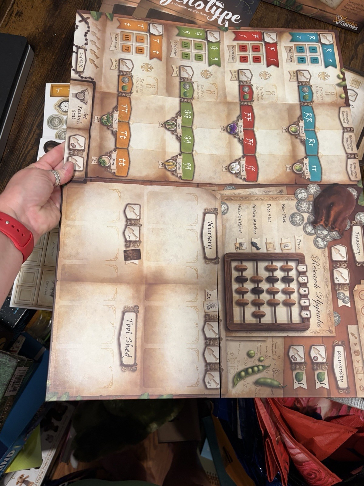 Genotype board game Genius Games Punnett Squares