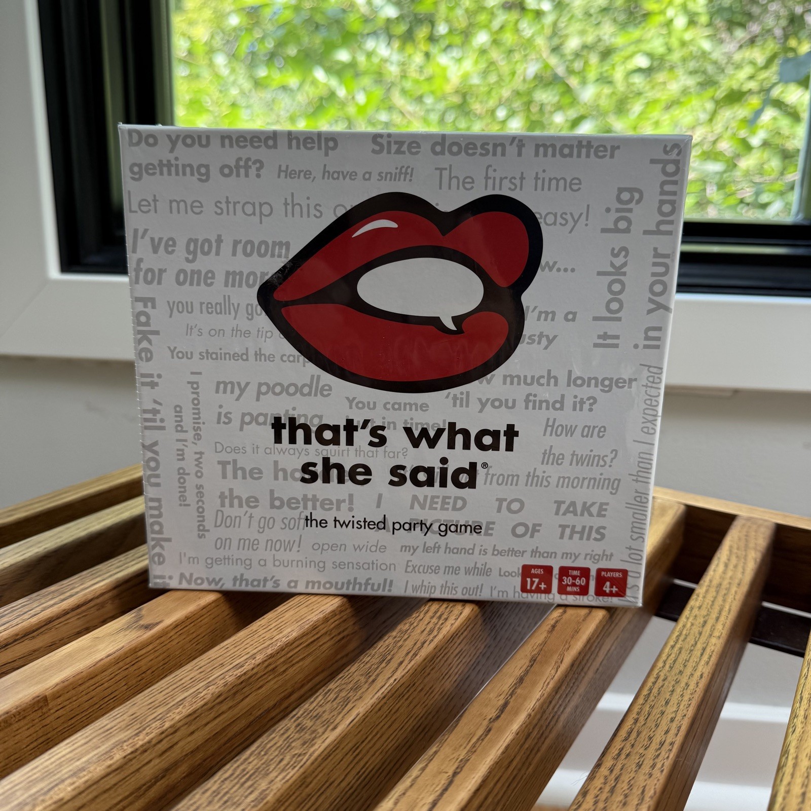 NEW That’s What She Said Game- A Twisted Game of Innuendos.
