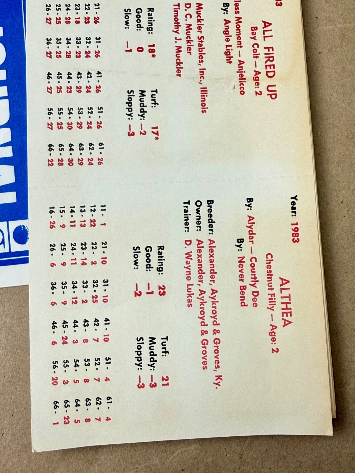 Vintage APBA American Saddle Racing Game Cards – Complete 1983 Racing Season
