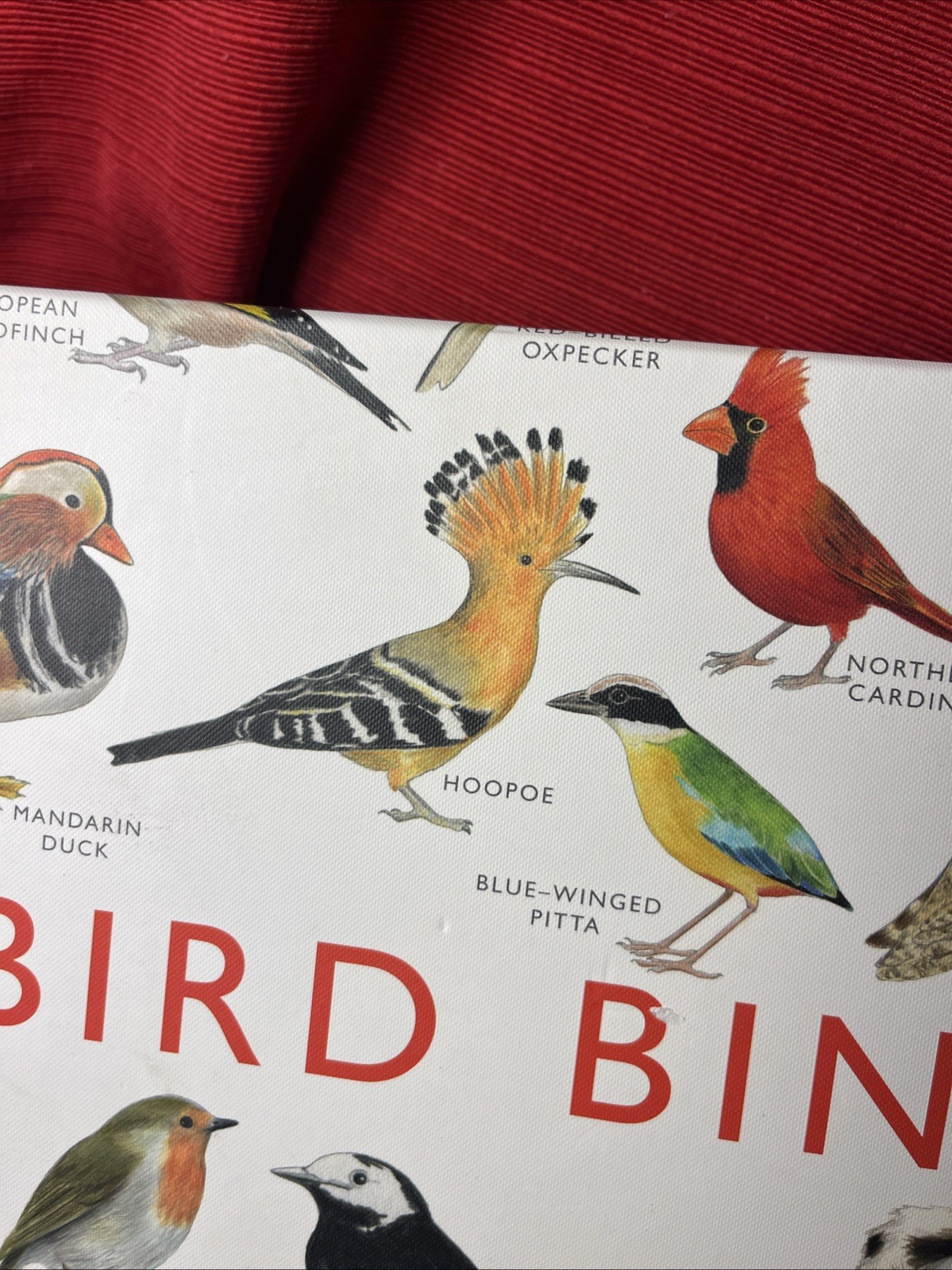 Bird Bingo Game (2012) Illustrated by Christine Berrie, Magma for Laurence King