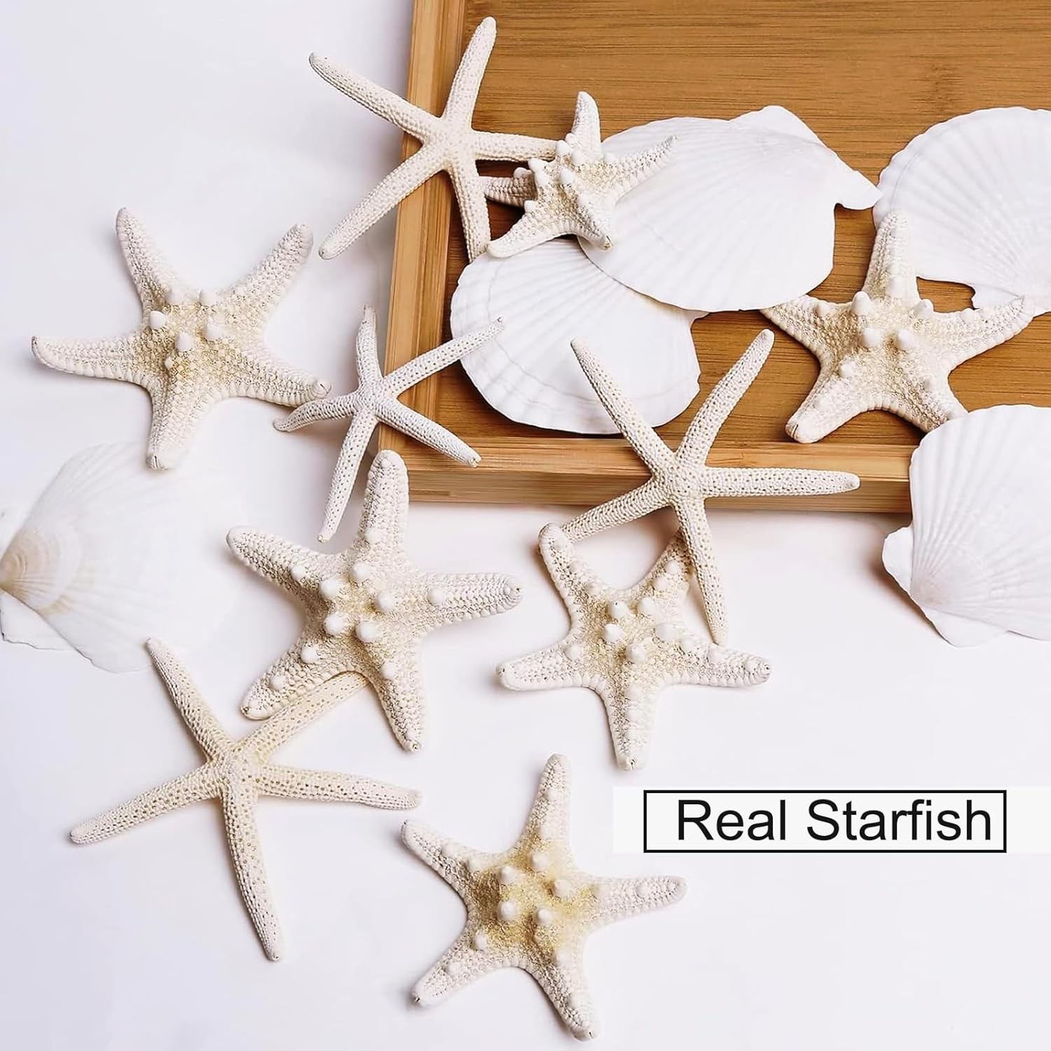 JQAQJU 3-4 Inches Large Starfish and Scallop Shells for Crafts 12PCS,…