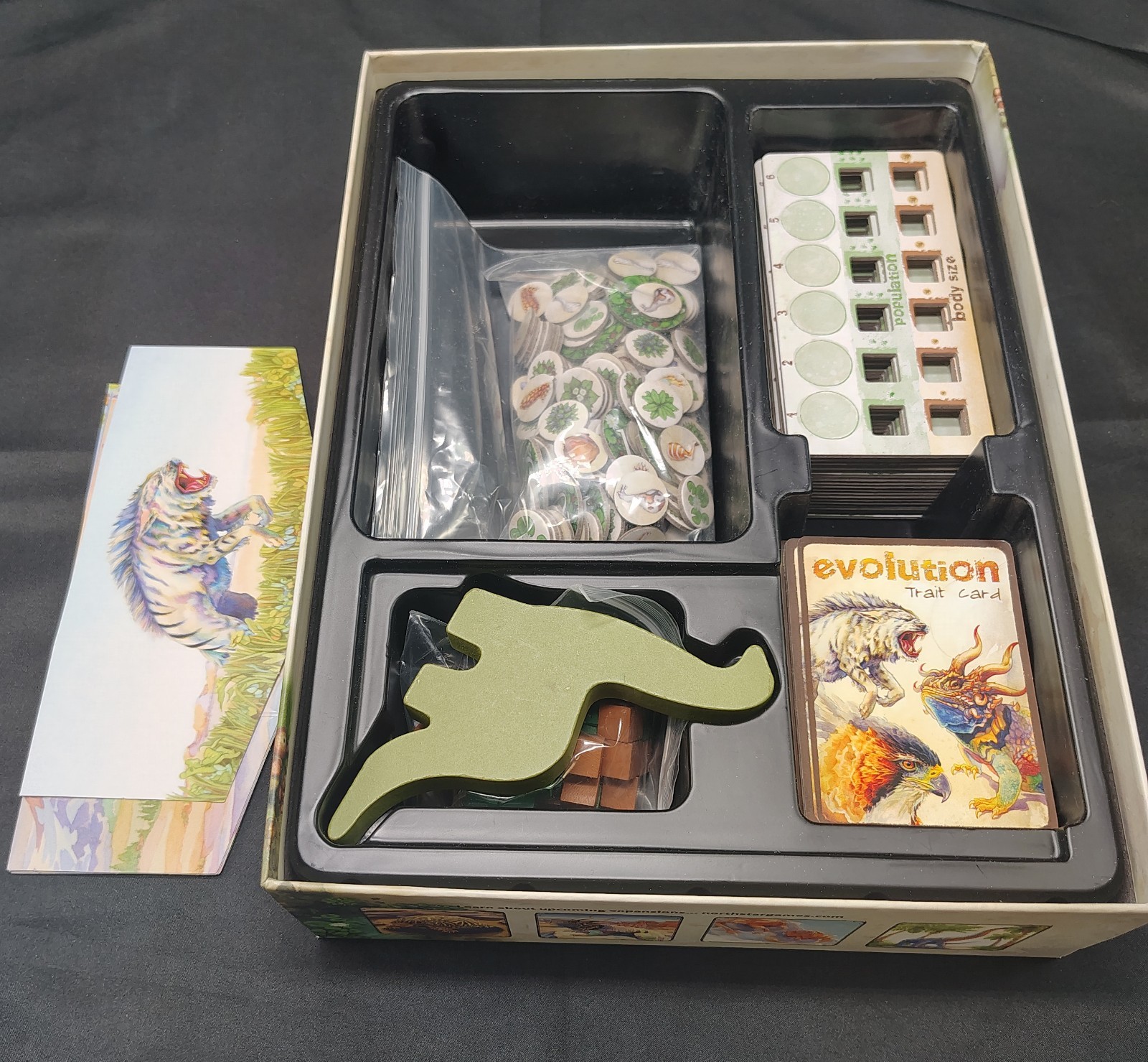 Evolution board game from North Star Games — 100% complete