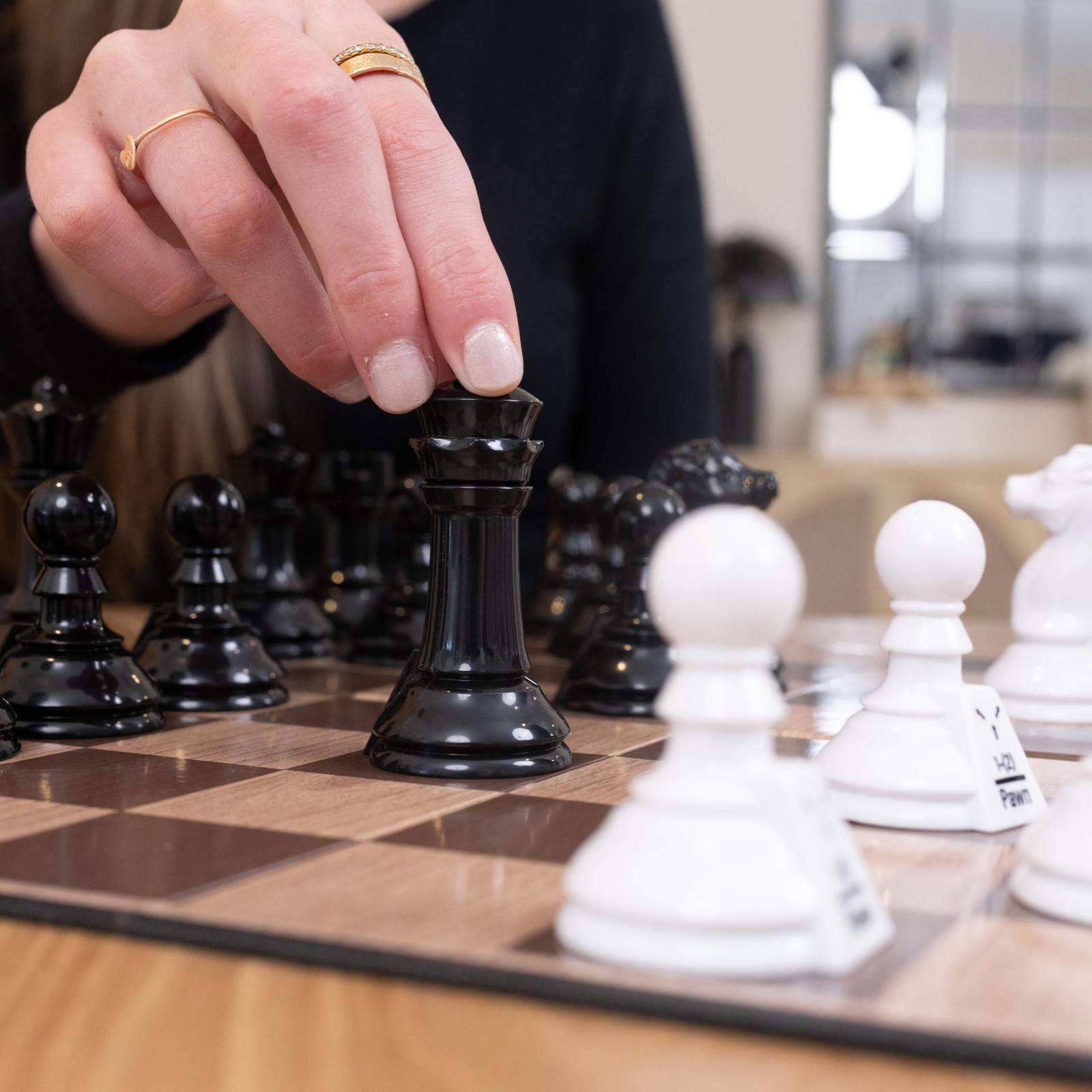 Games Chess Teacher Set Educational Chess Board with Movement Indicators, Pe…