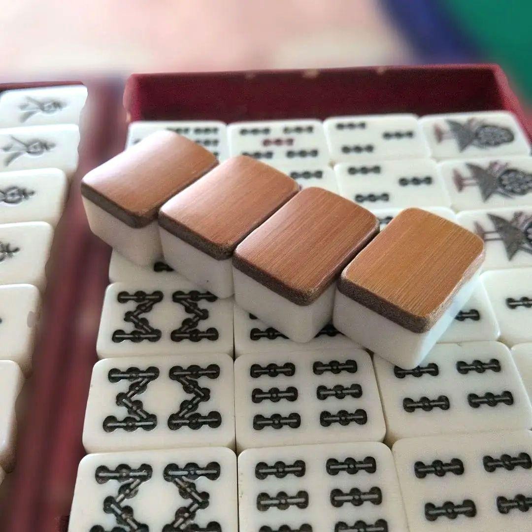 Mahjong Tile Set Bamboo Back Purple Hard Case