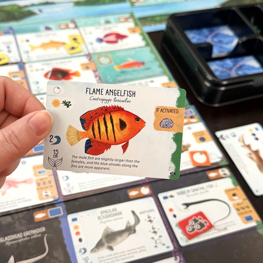 Finspan: Sharks & Reefs Expansion Board Game by Stonemaier