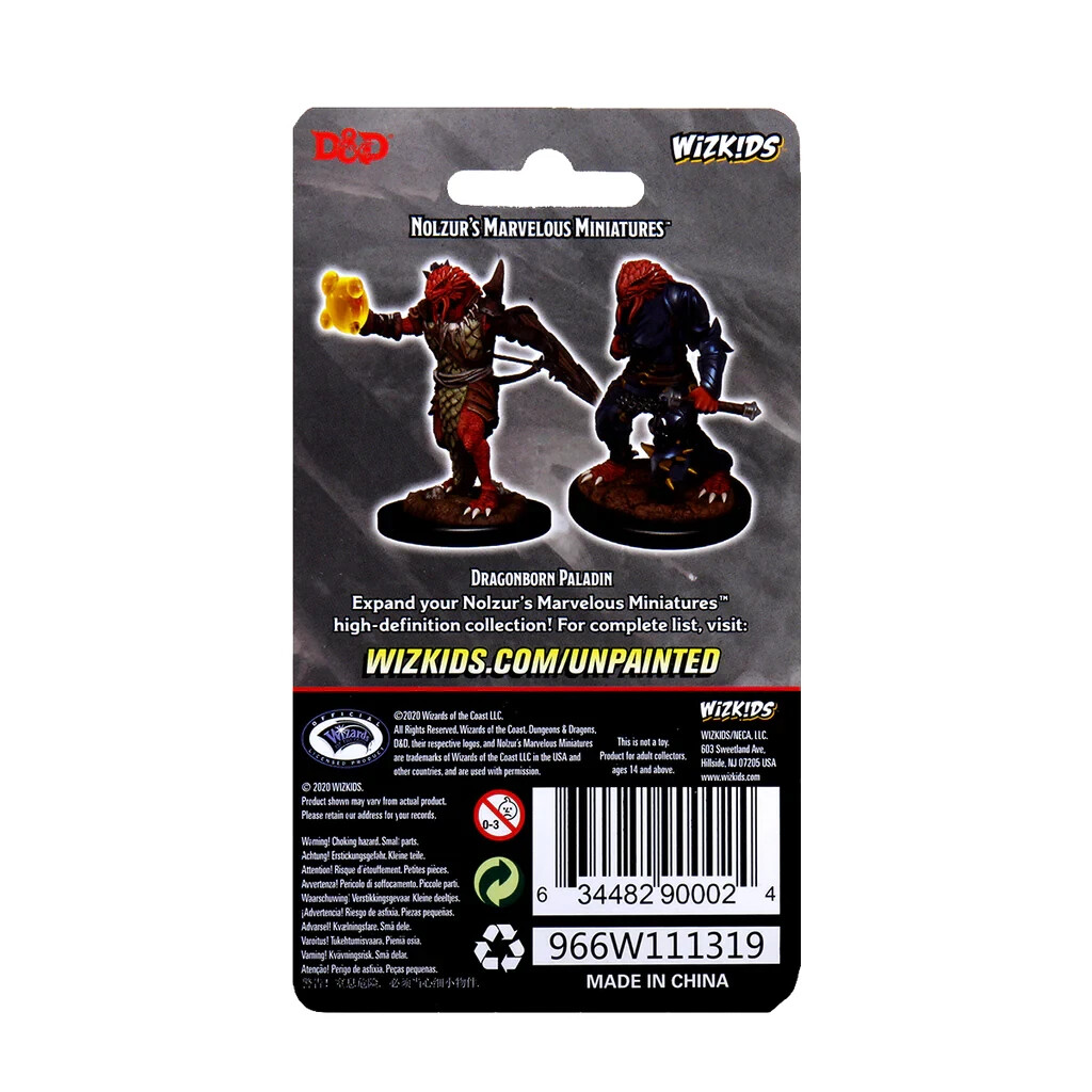 DUNGEONS & DRAGONS MARVELOUS MINIATURES ~ DRAGONBORN MALE PALADIN HD