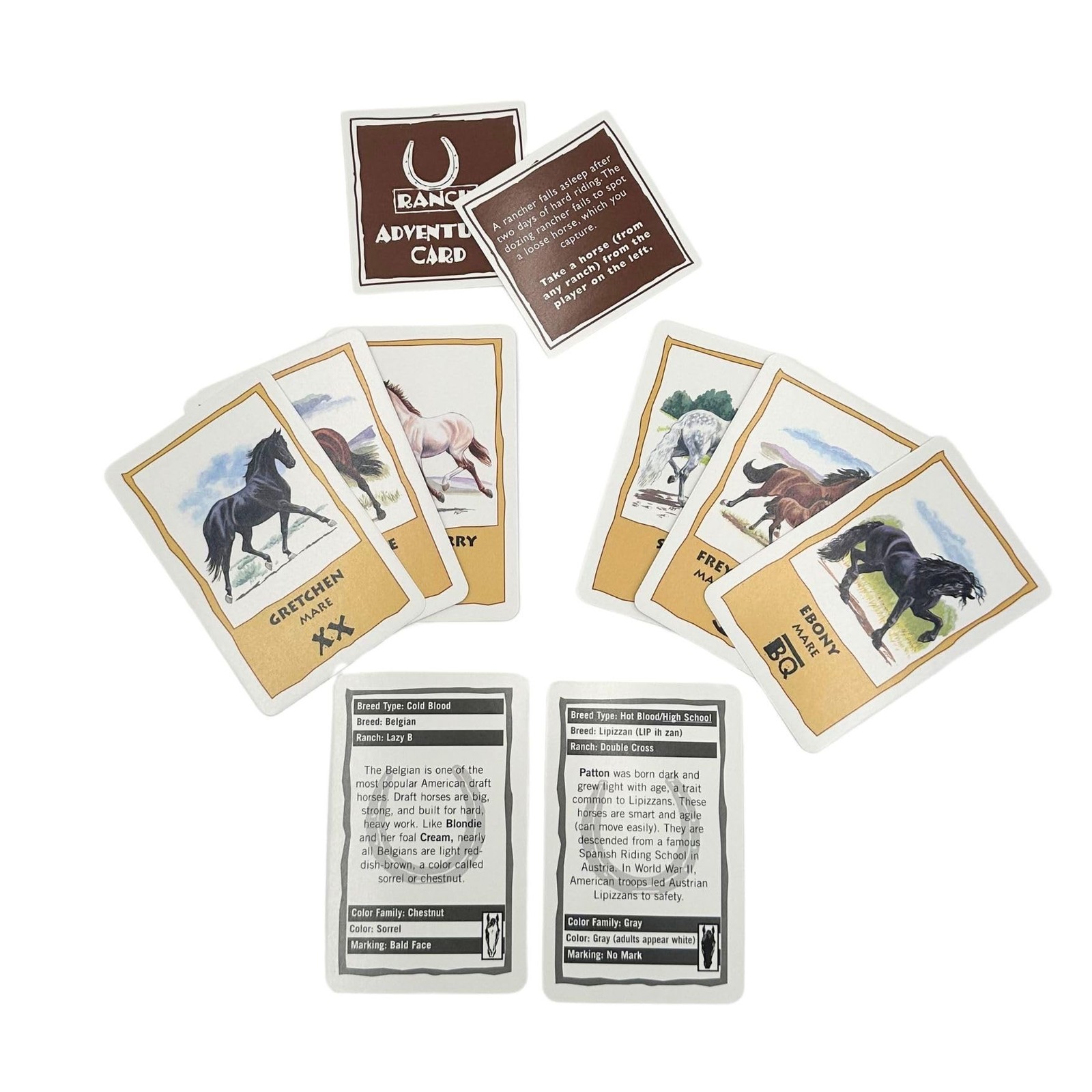 Herd Your Horses Game – Experience the Thrill of a Wild Horse Round-Up for 2-…