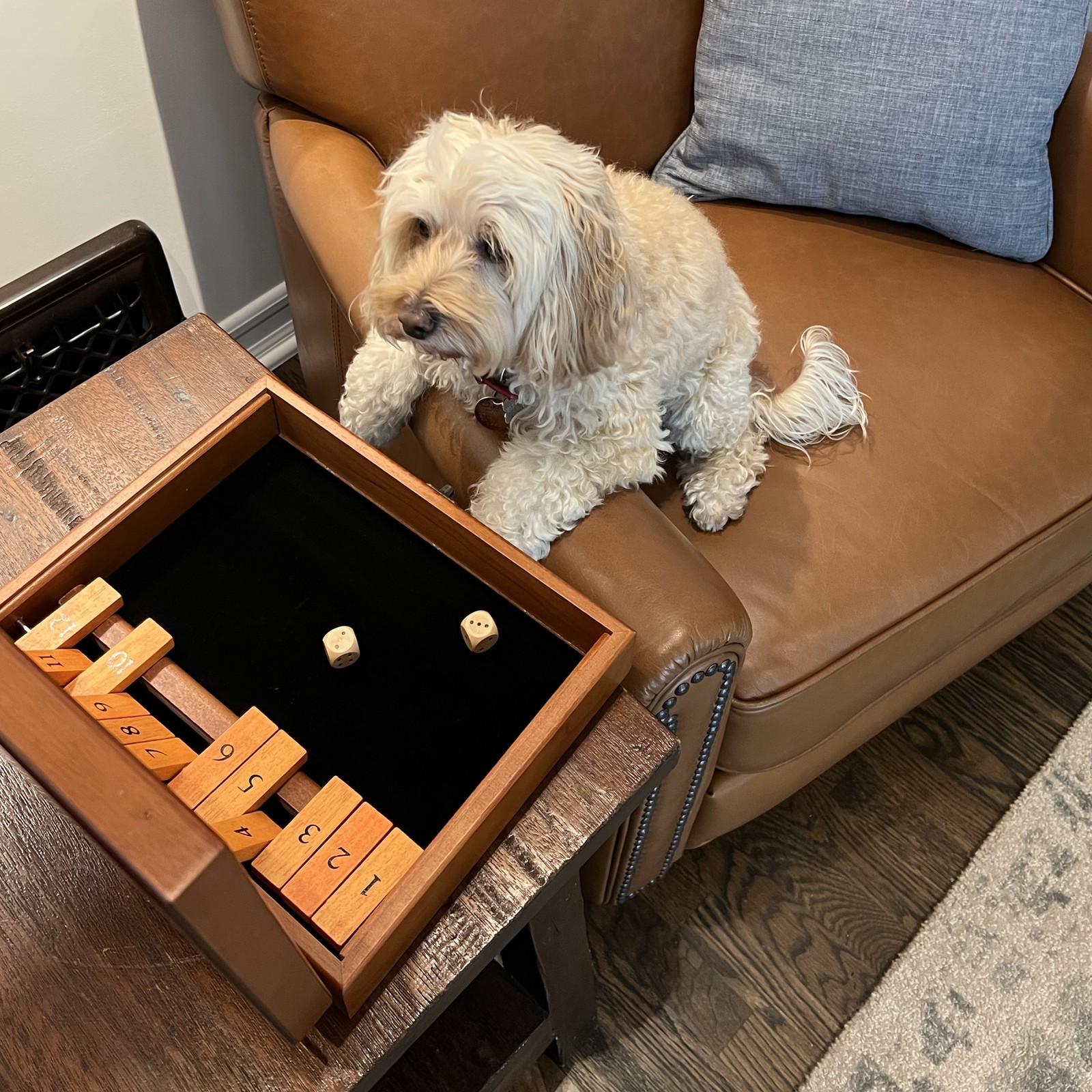 WE Games Board Game with Dice, 12 Numbers, in Natural Wood Box with Lid