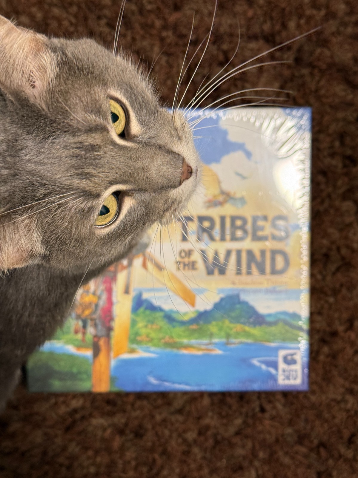 Tribes of The Wind | Strategy Game | Ages 14+ | 2 to 5 Players | 60 Minutes