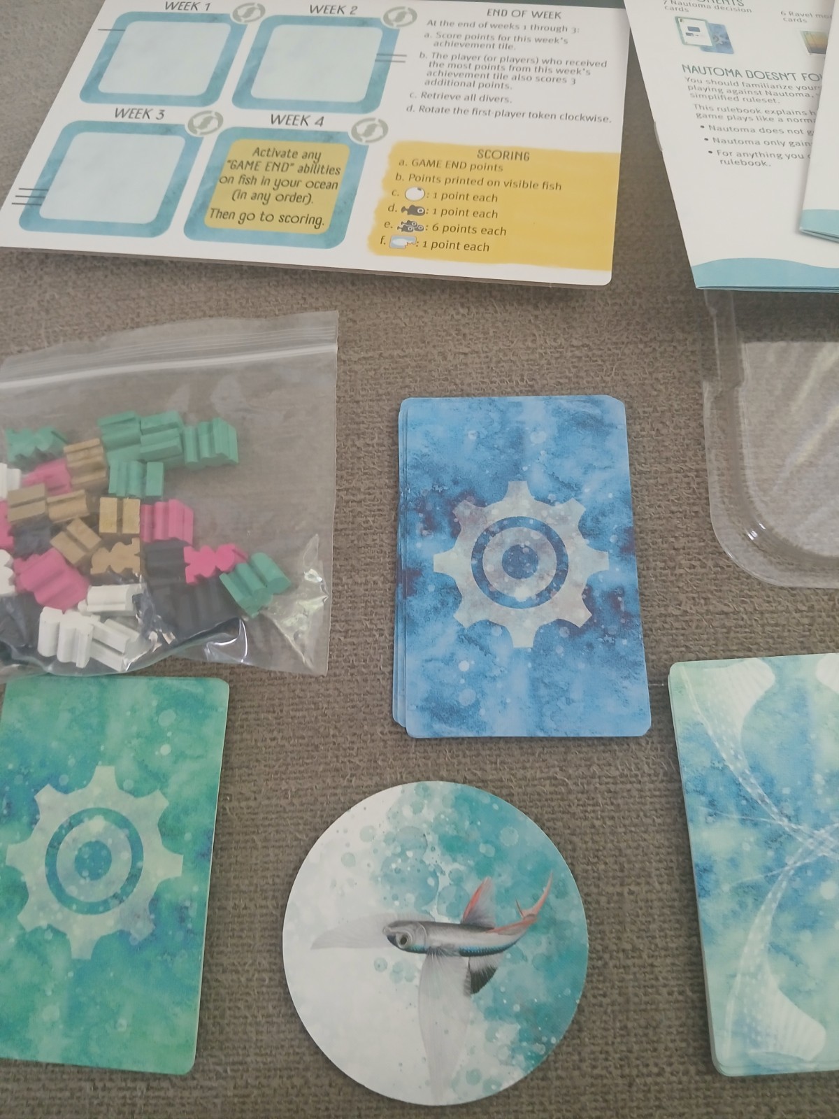 Finspan Board Game by Stonemaier