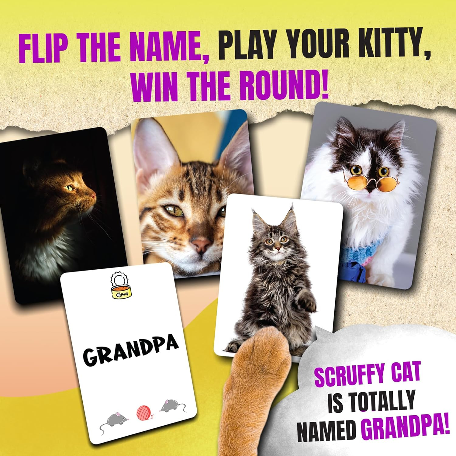 Name that Kitty – Fun Cat Game for Kids That’s Great for Family Game Night | 100