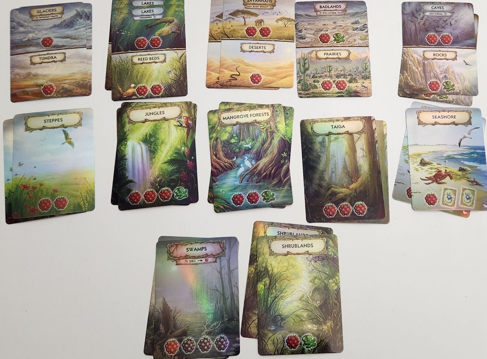 Evolution New World Kickstarter 2023 ALL-IN by CrowD Games SEALED