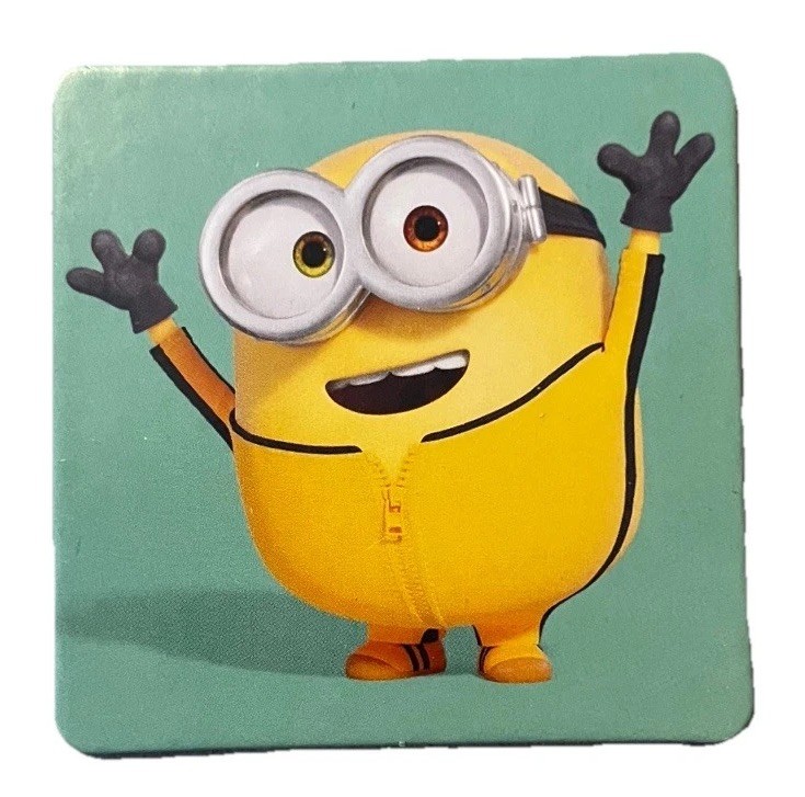 Minions Rise of Gru Matching Game Wonder Forge Kids Memory Match Pairs Game