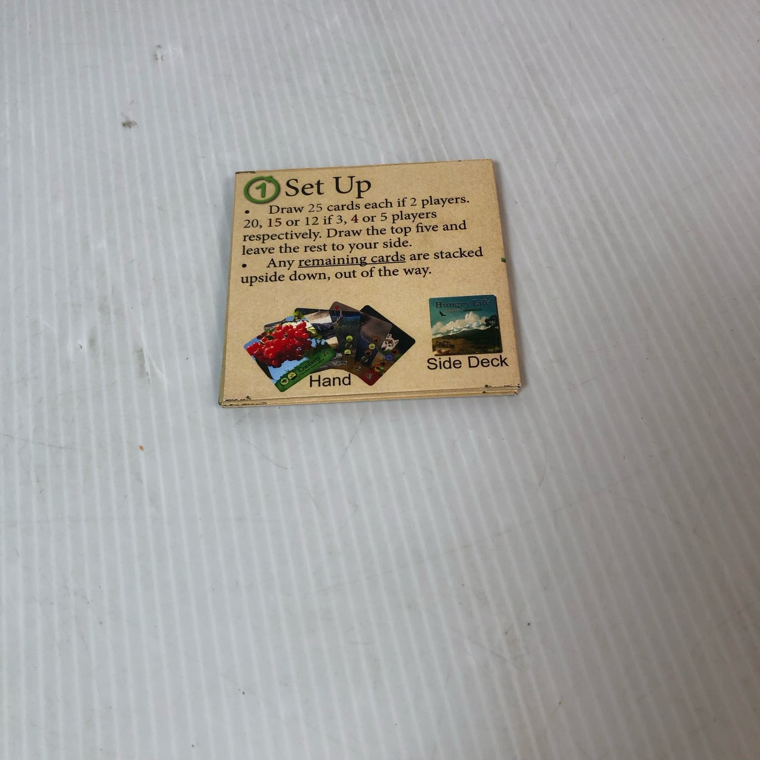 Hungry Life North America Kickstarter Card Game 2-5 Players Illustrated Cards