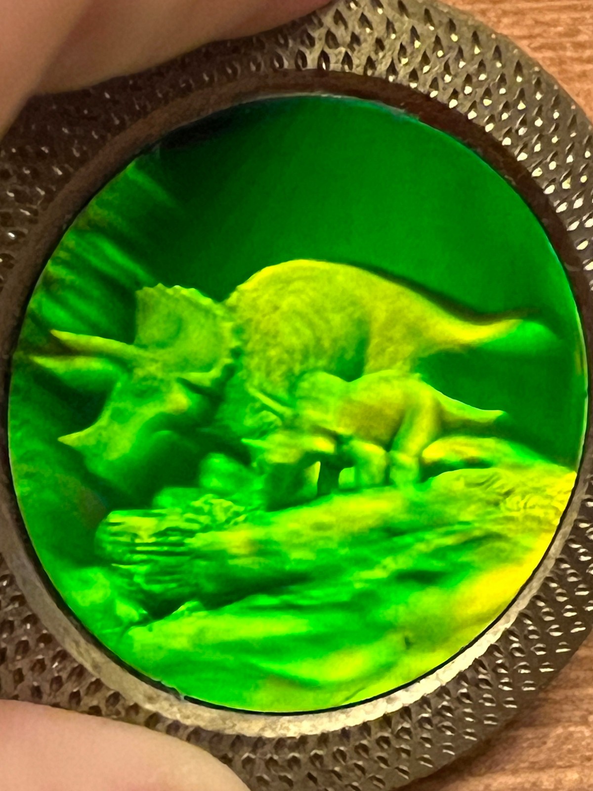 Vintage Brass Holographic Triceratops Family Dinosaur Hologram Pog Slammer Heavy