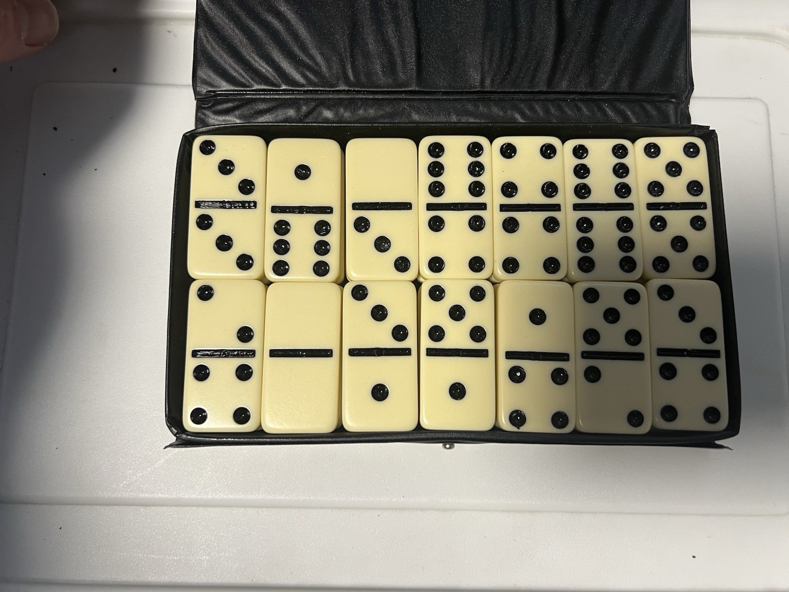 Dominoes Set In Black Case