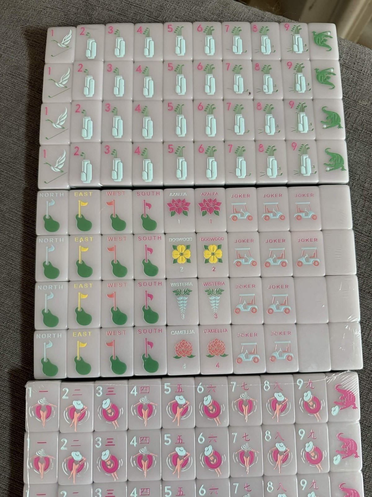 Premium American Mahjong Set 160pcs – Country Club TILES + BAG