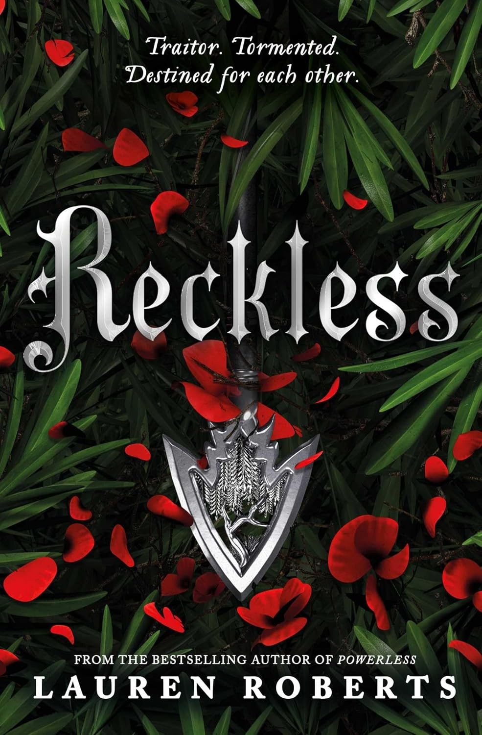 Reckless: TikTok made me buy it! The epic and sizzling fantasy romance series no