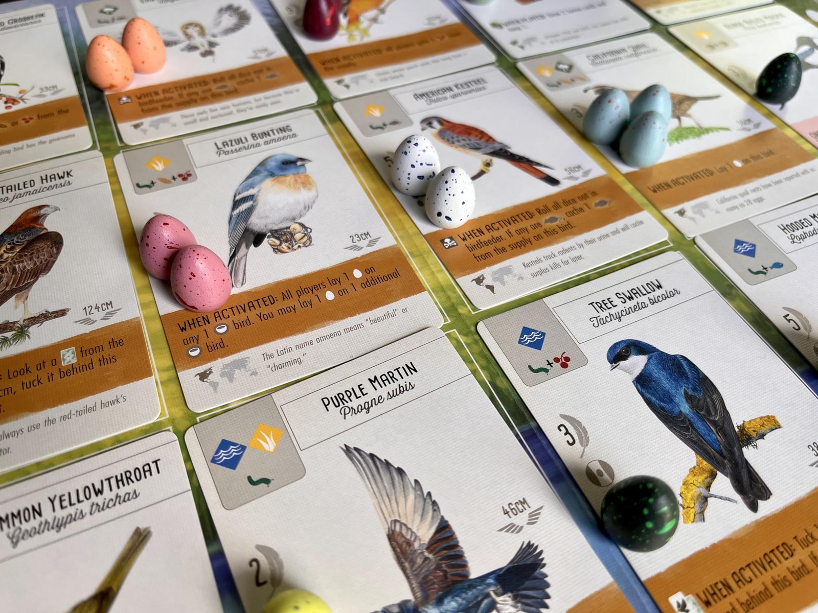 Stonemaier Games: Wingspan Speckled Eggs | Add to Wingspan (Base Game or Asia…