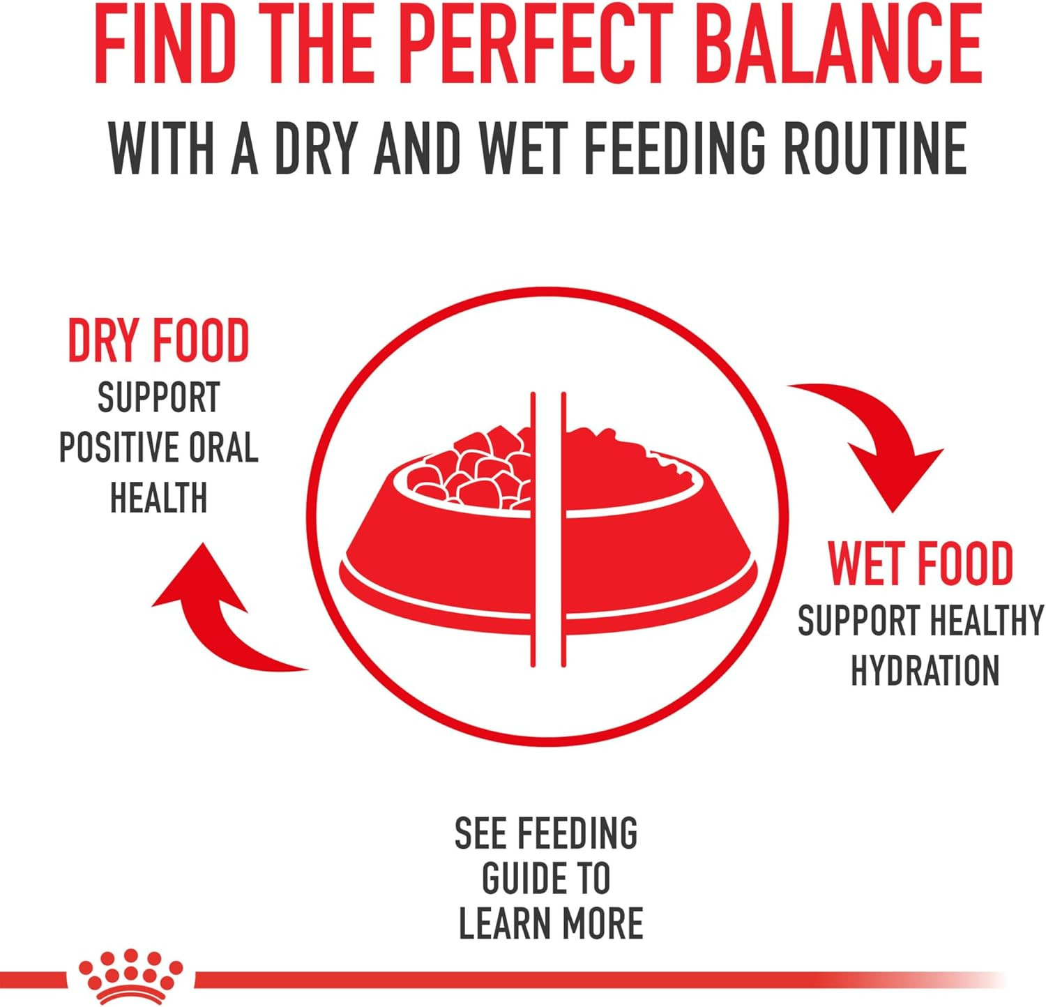 Royal Canin Size Health Nutrition Small Aging 12+ Senior Dry Dog Food, 2.5 Lb Ba