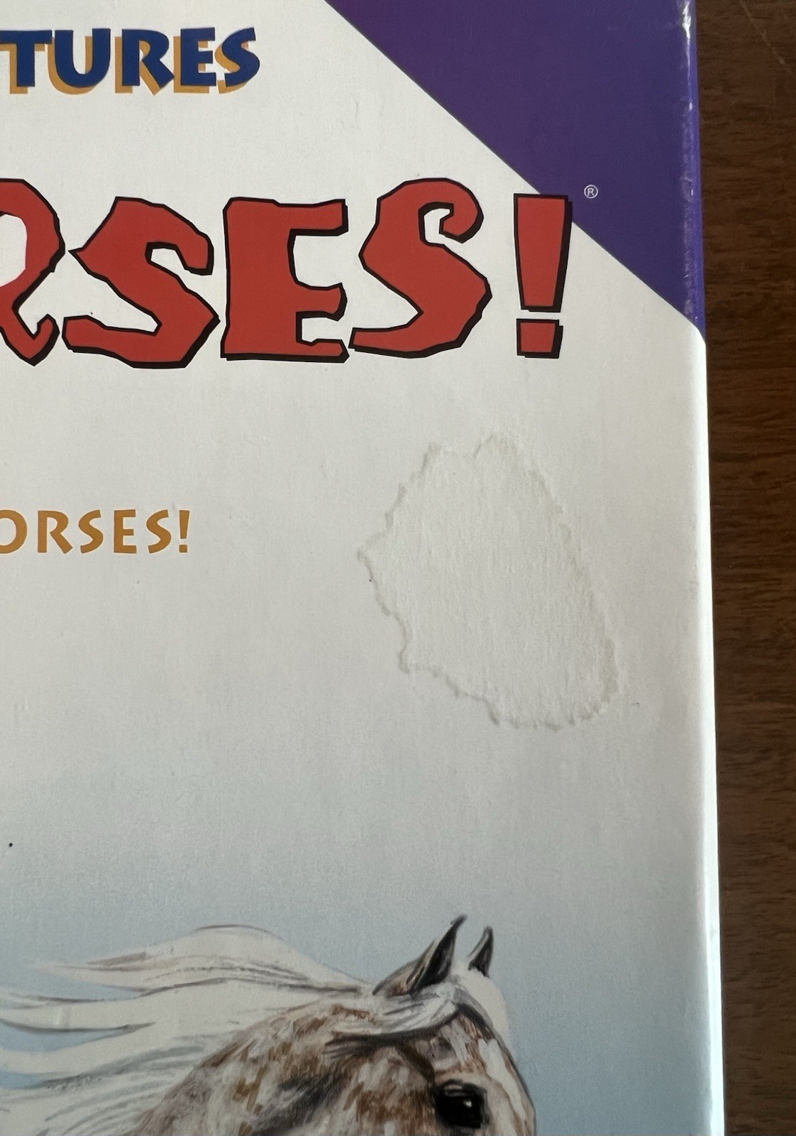 Herd Your Horses Board Game Aristoplay 2015 Complete Horse Family Strategy Game